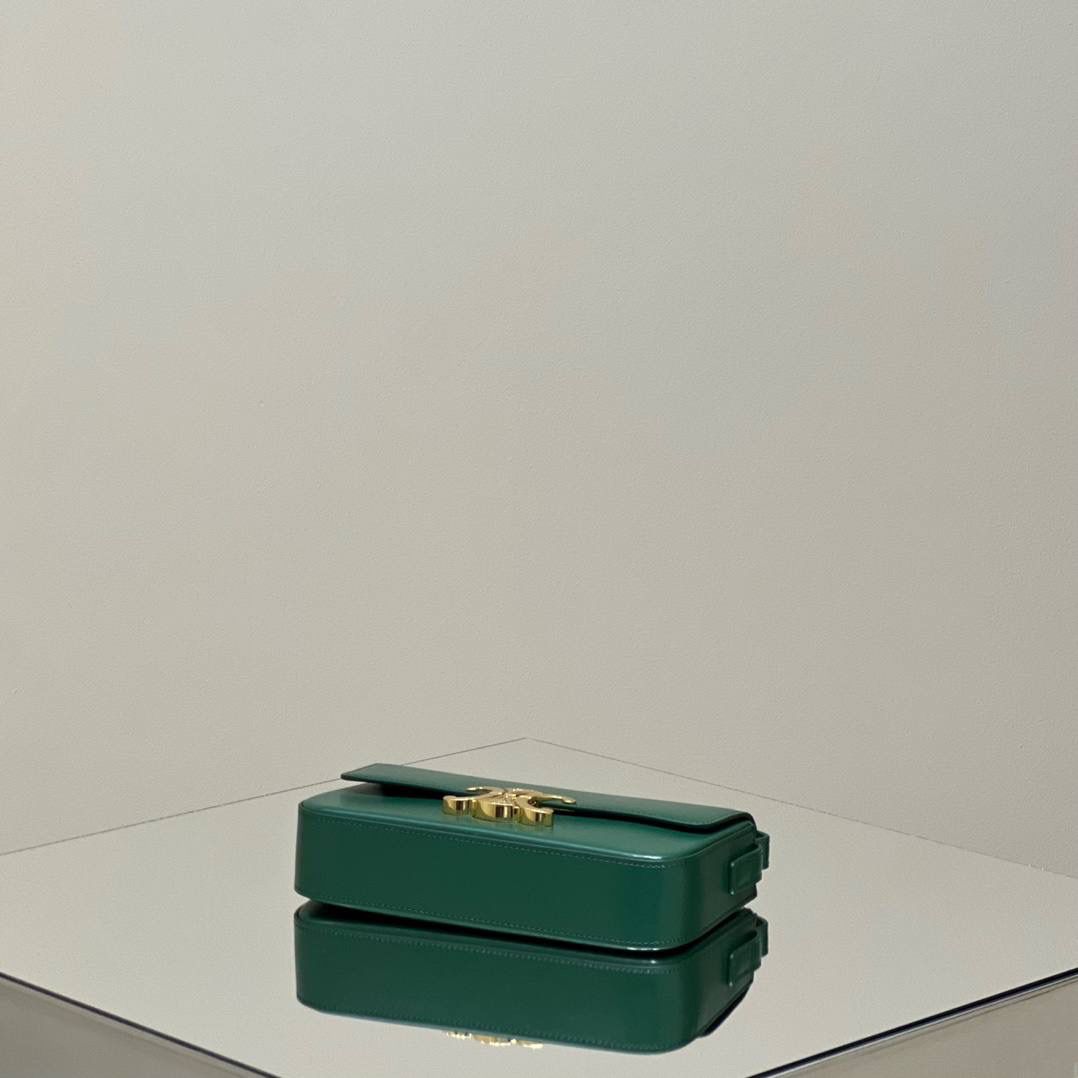 🔥大货实拍图 𝗖𝗘𝗟𝗜𝗡𝗘 ♥ 𝗧𝗥𝗜𝗢𝗠𝗣𝗛𝗘 𝗦𝗛𝗢𝗨𝗟𝗗𝗘𝗥 𝗕𝗔𝗚 型号：194143 尺寸：20*10*4cm