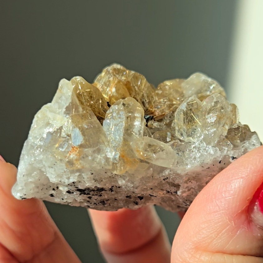 Golden starburst black hematite flower rutile quartz - RT1432