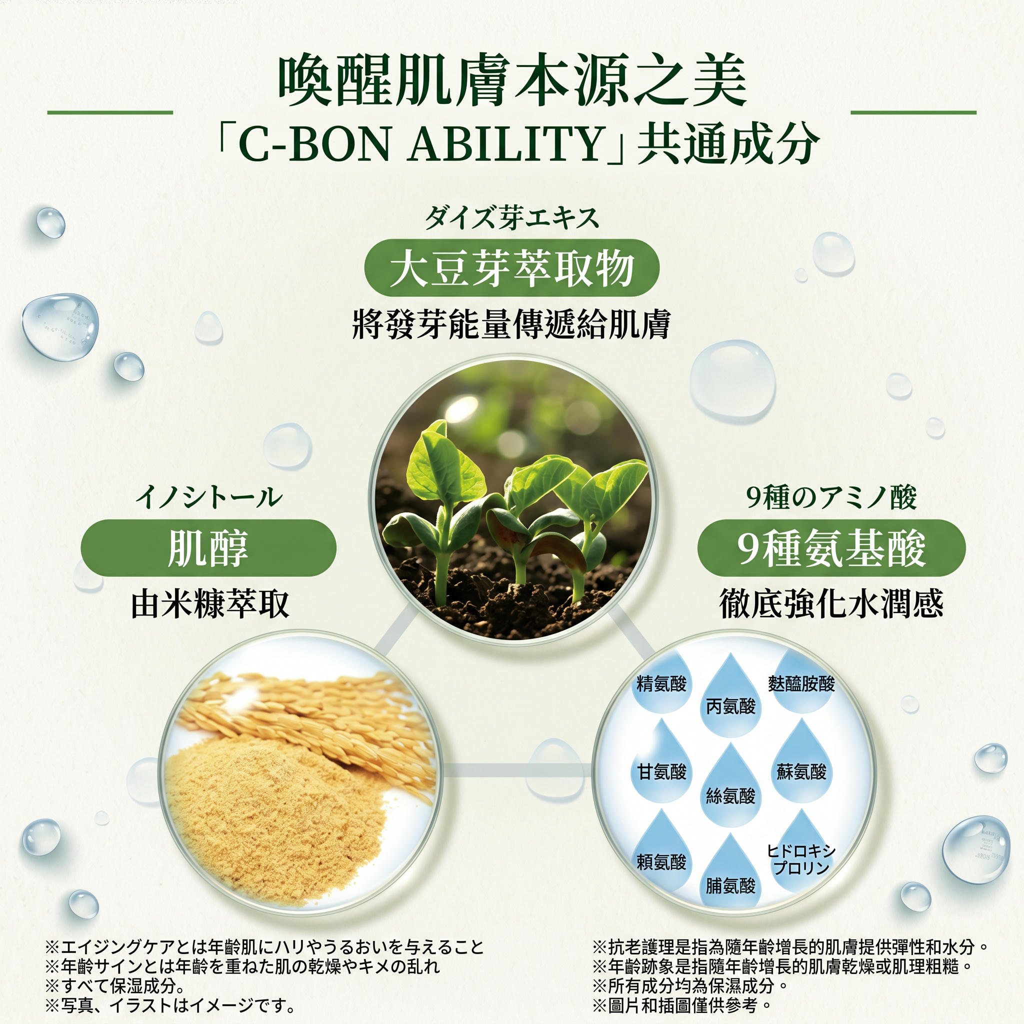 C'BON <ABILITY> 精華乳液(LOTION) <日本製 >
