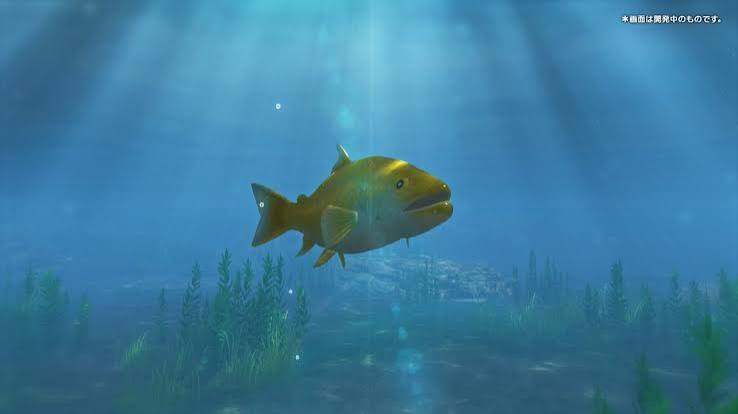【預售 8/ 10】NS 我與釣魚記 My Fishing Diary  日文  ( 日文封面 ) XLMS3378