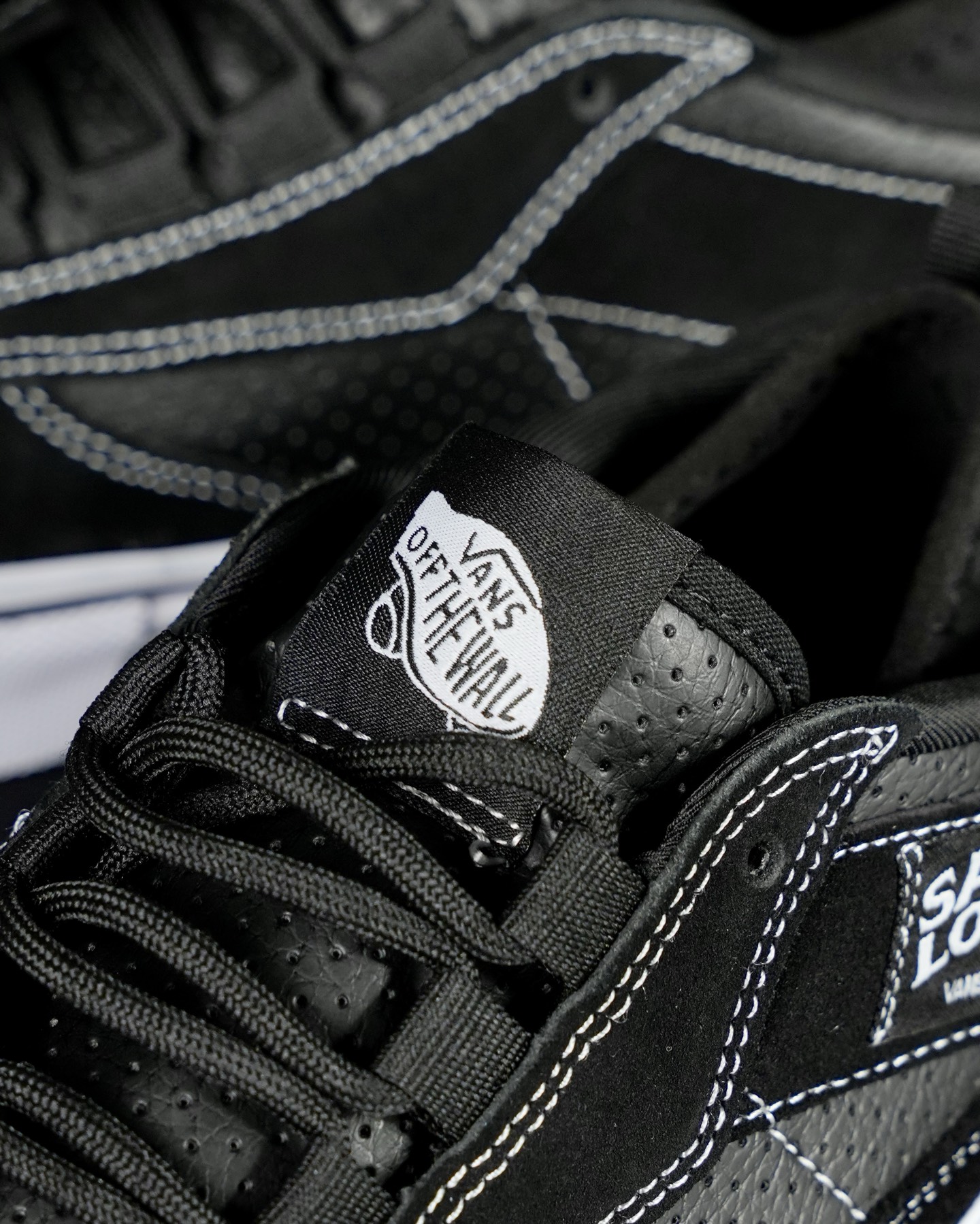 Vans Skate Safe Low