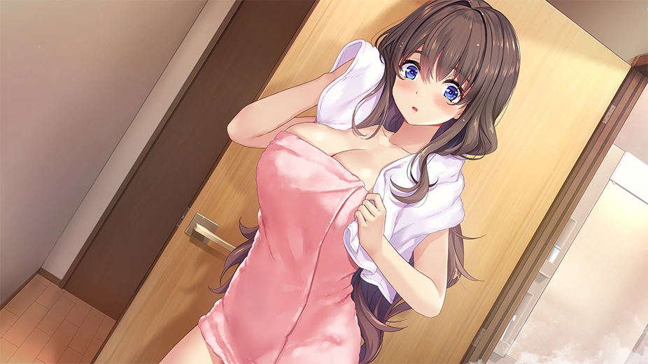 【預售 3/9】NS Days Collection: 女忍者戀愛二部曲 / Days Collection: NinNin Heroines 中/英/日文  (中文封面) NSW-4017