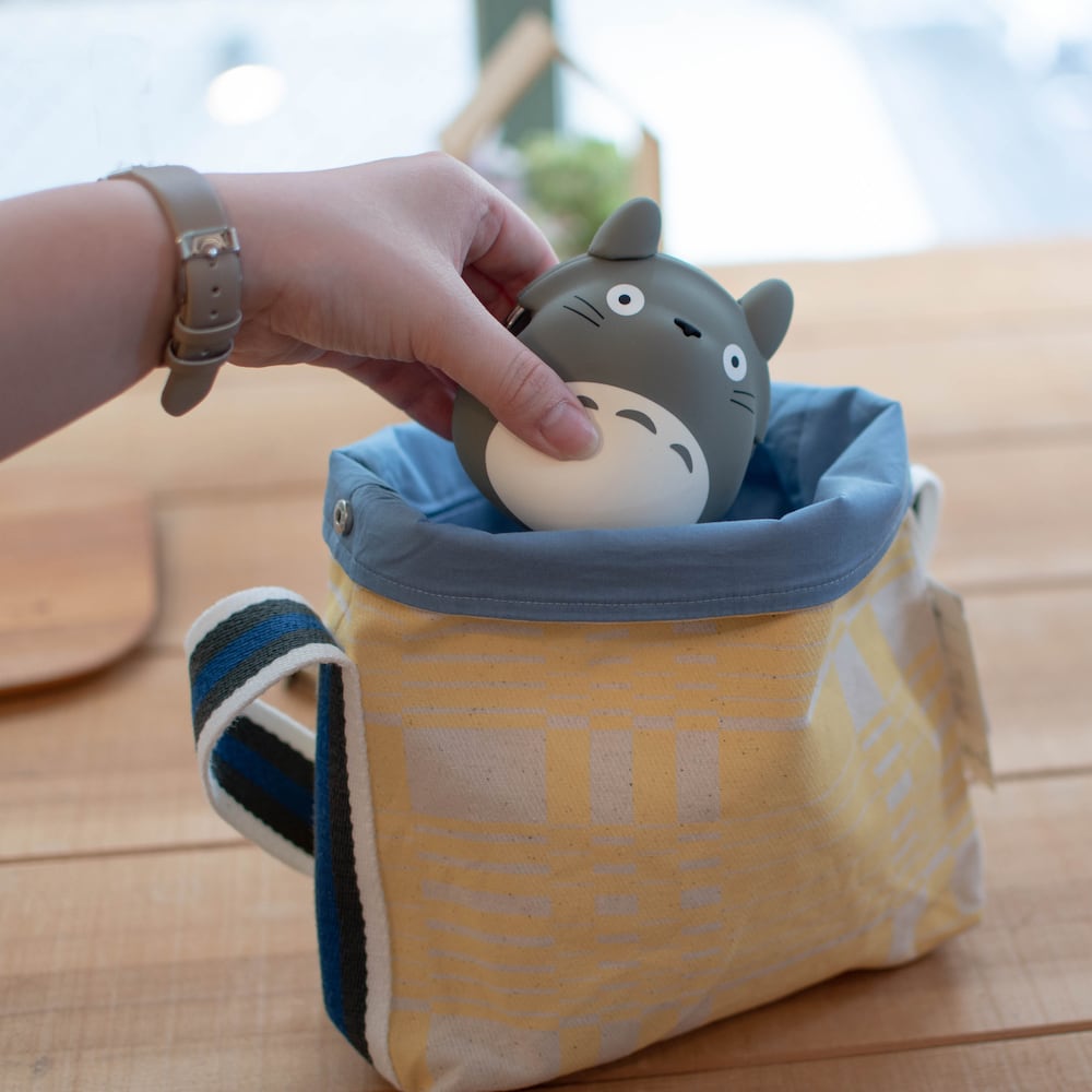 🆕【⭐訂購⭐】 🇯🇵日本直送 🌀#龍貓 矽膠 #散紙包/小物袋［2款選］🌀[ELAD-0212][260222]