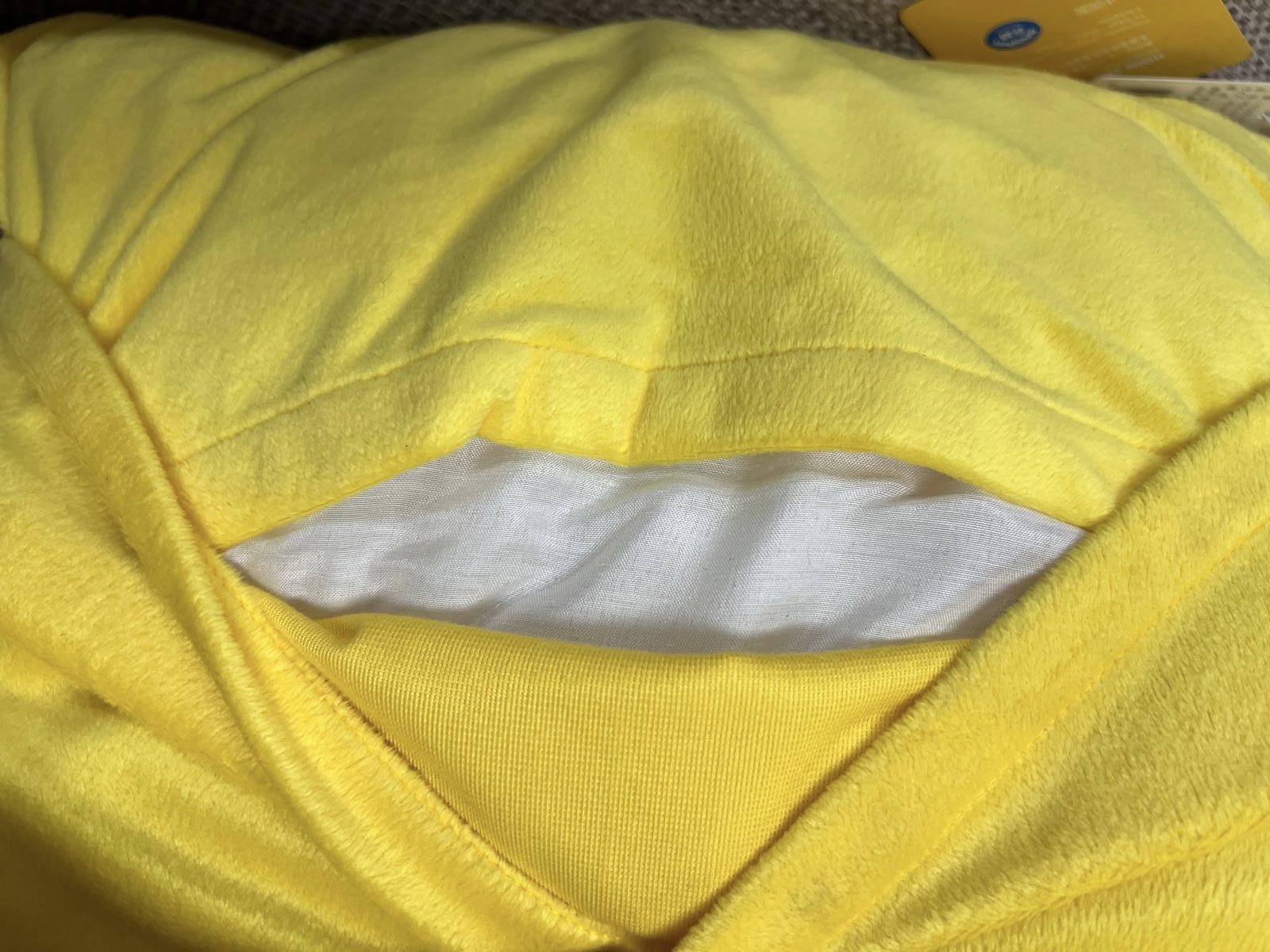 🎌日本限定🎌比卡超 刺繡兩用長抱枕