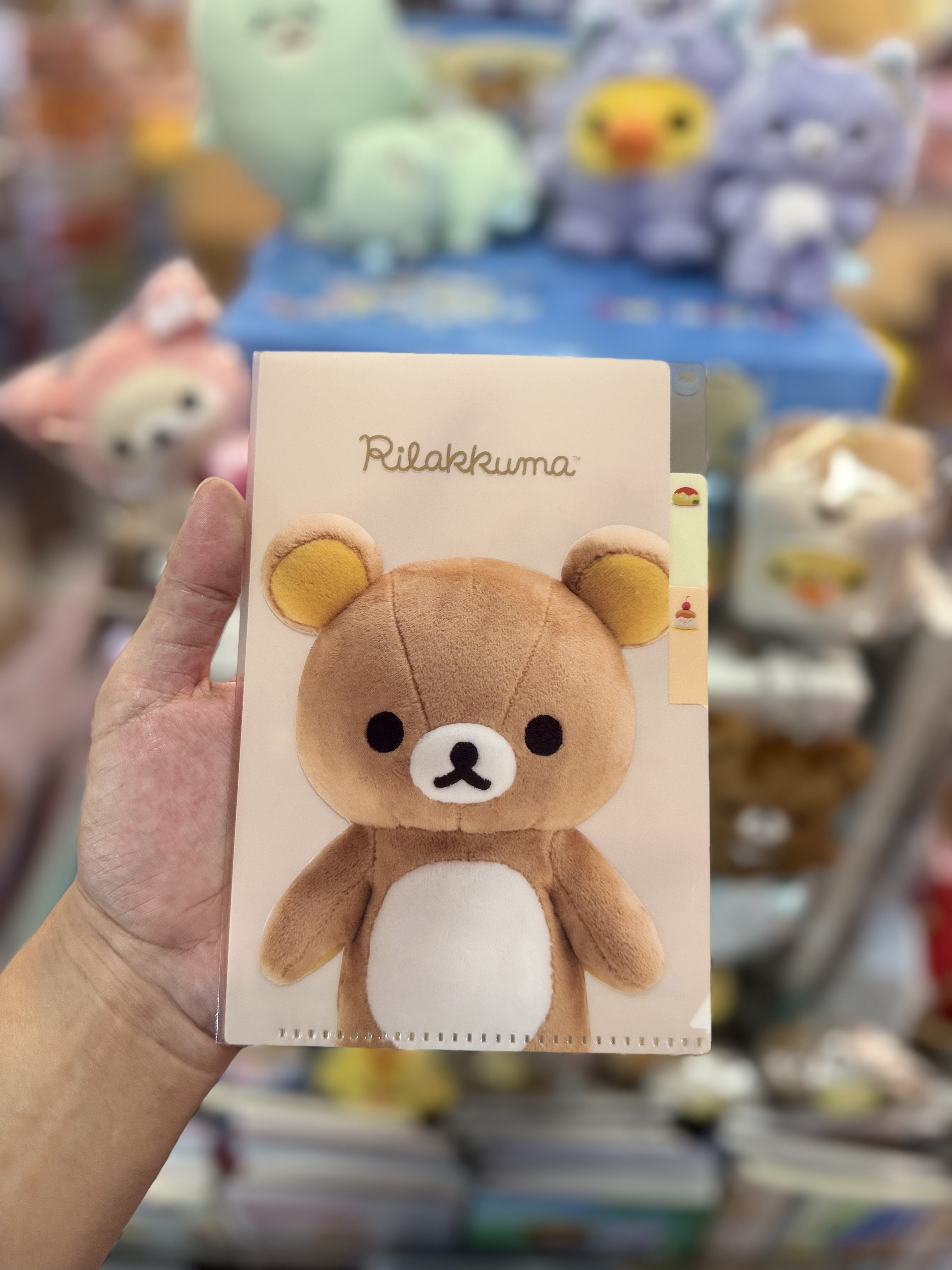 《現貨》全新rilakkuma寫真系列A6 分頁file