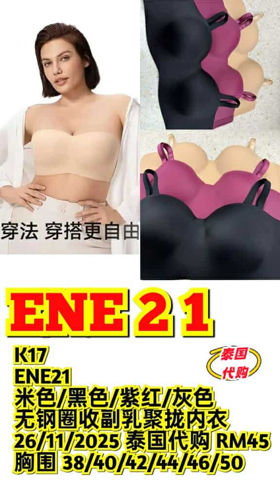 ENE21 无钢圈收副乳聚拢内衣
