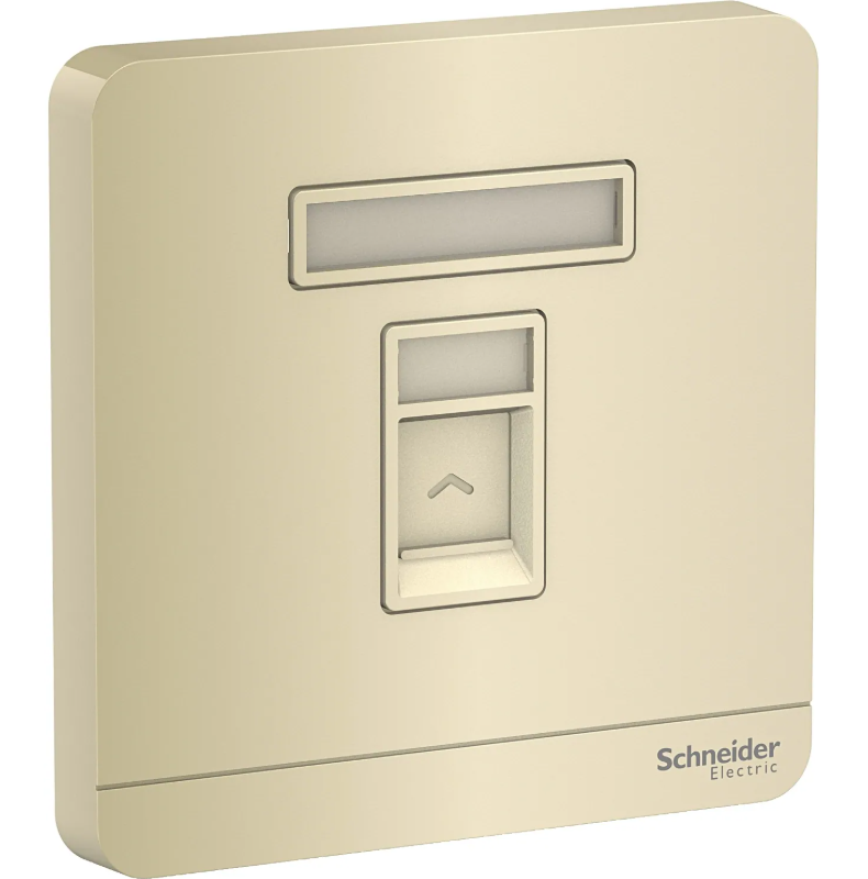 Schneider 施耐德 奐尚 單位RJ45 5e類數據插座, Keystone面板 備防塵活門 E8331RJS5_WG_C5