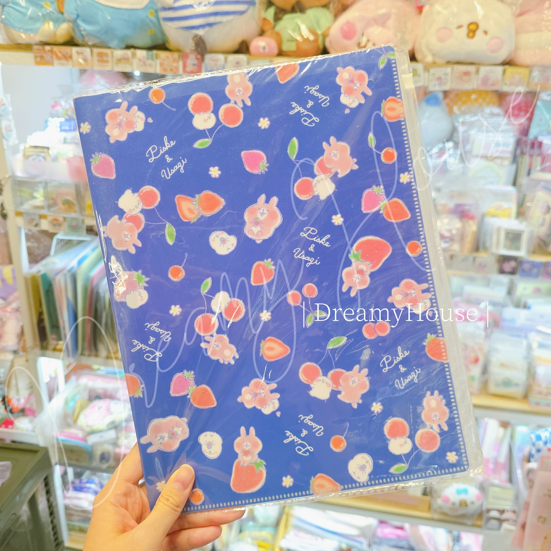 日本 kanahei 🥳Kanahei x ITS'DEMO🍓 A4文件夾