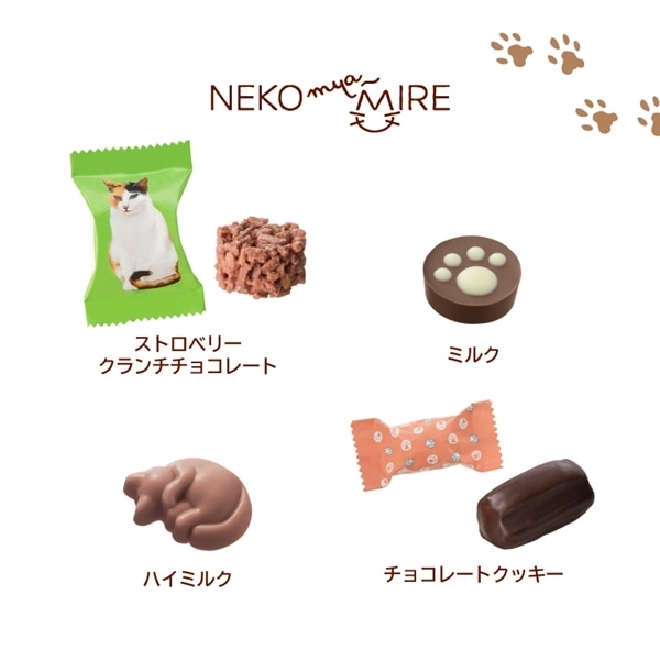 日本 Mary’s NEKO 貓貓朱古力禮盒14件