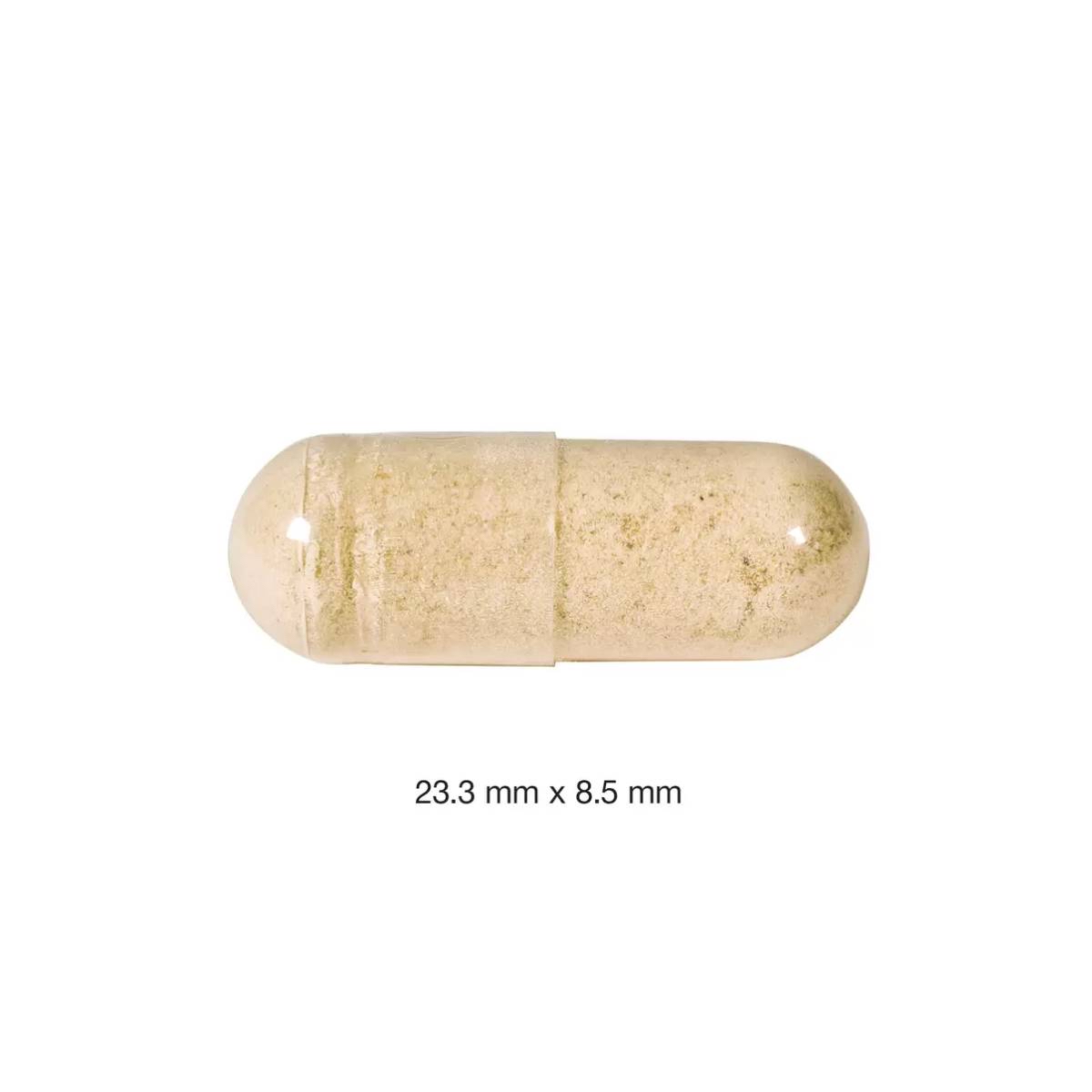 快閃日本Costco限期特價優惠中  日本Costco [Webber Naturals] Maca +韓國人參200粒