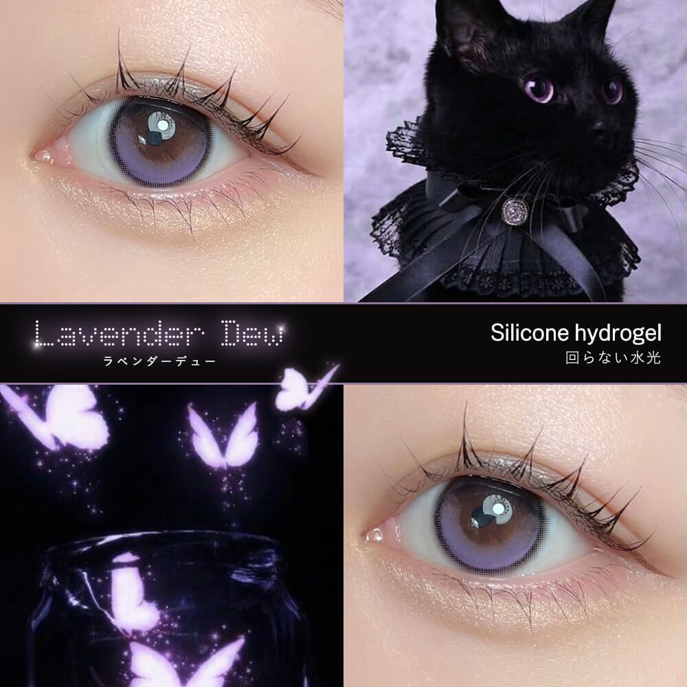Dewlit - Lavender Dew (1day/10P)