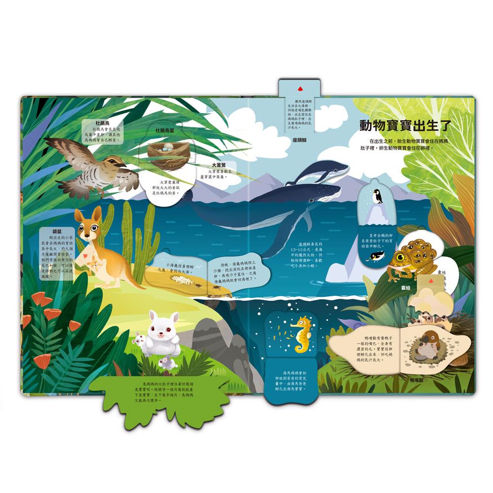 台灣書團-風車 立體翻翻書系列-神奇的動物百科