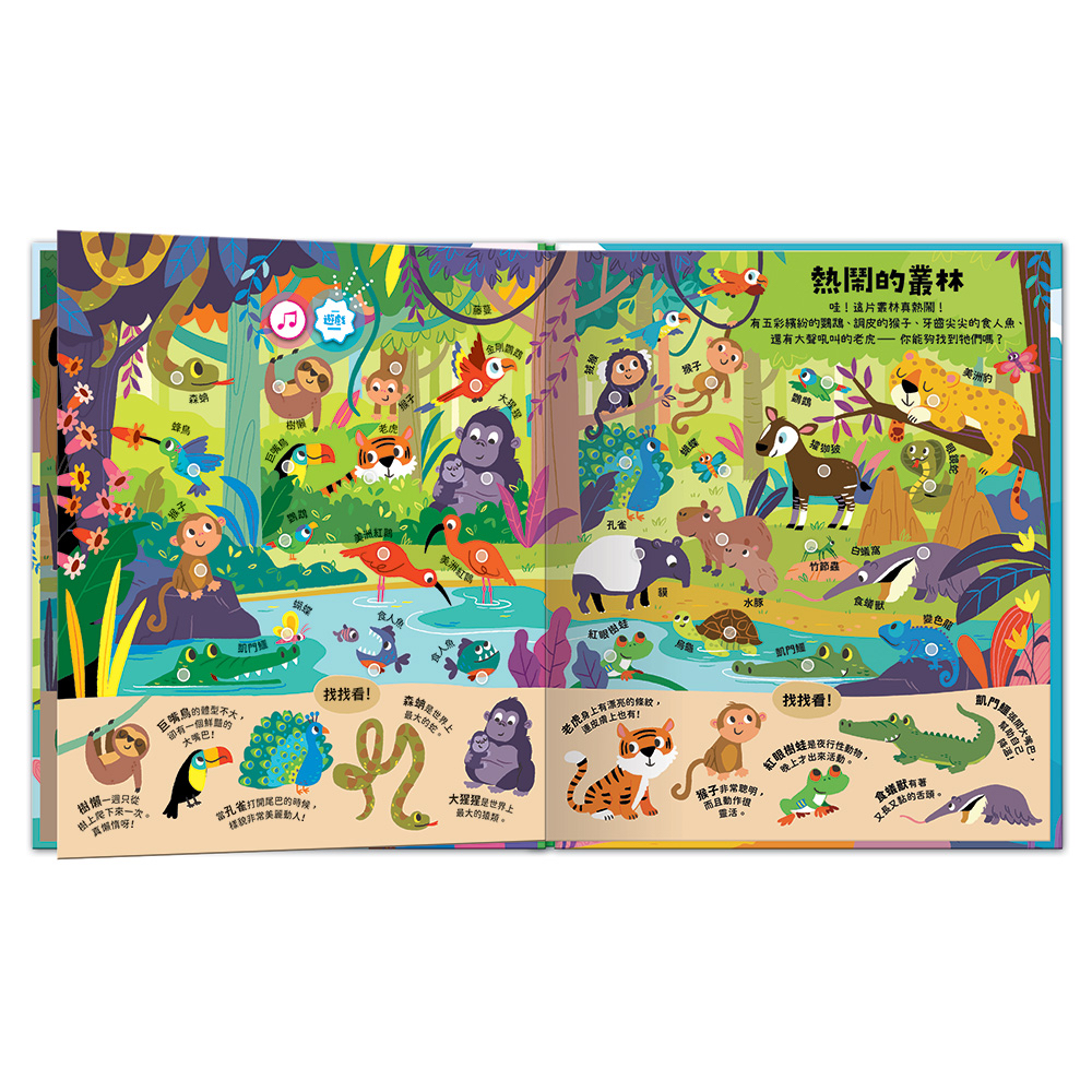 🔸預購貨品🔸動物祕密基地 ┃小小探險家音效百科