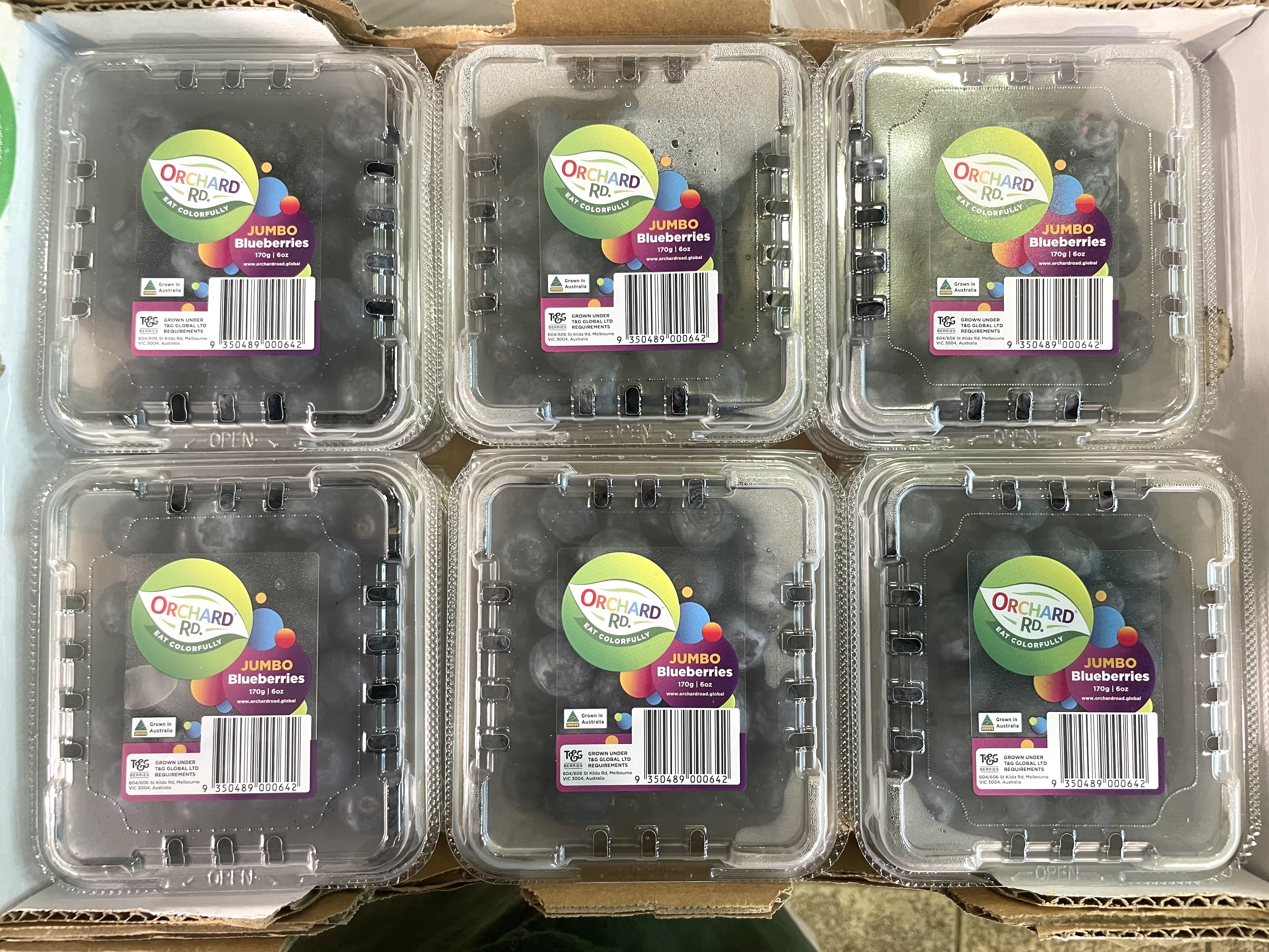 🇦🇺重量級🏋🏻【澳洲JUMBO 藍莓(170g)】🫐