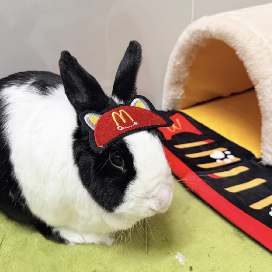 麥麥喵帽子隧道窩