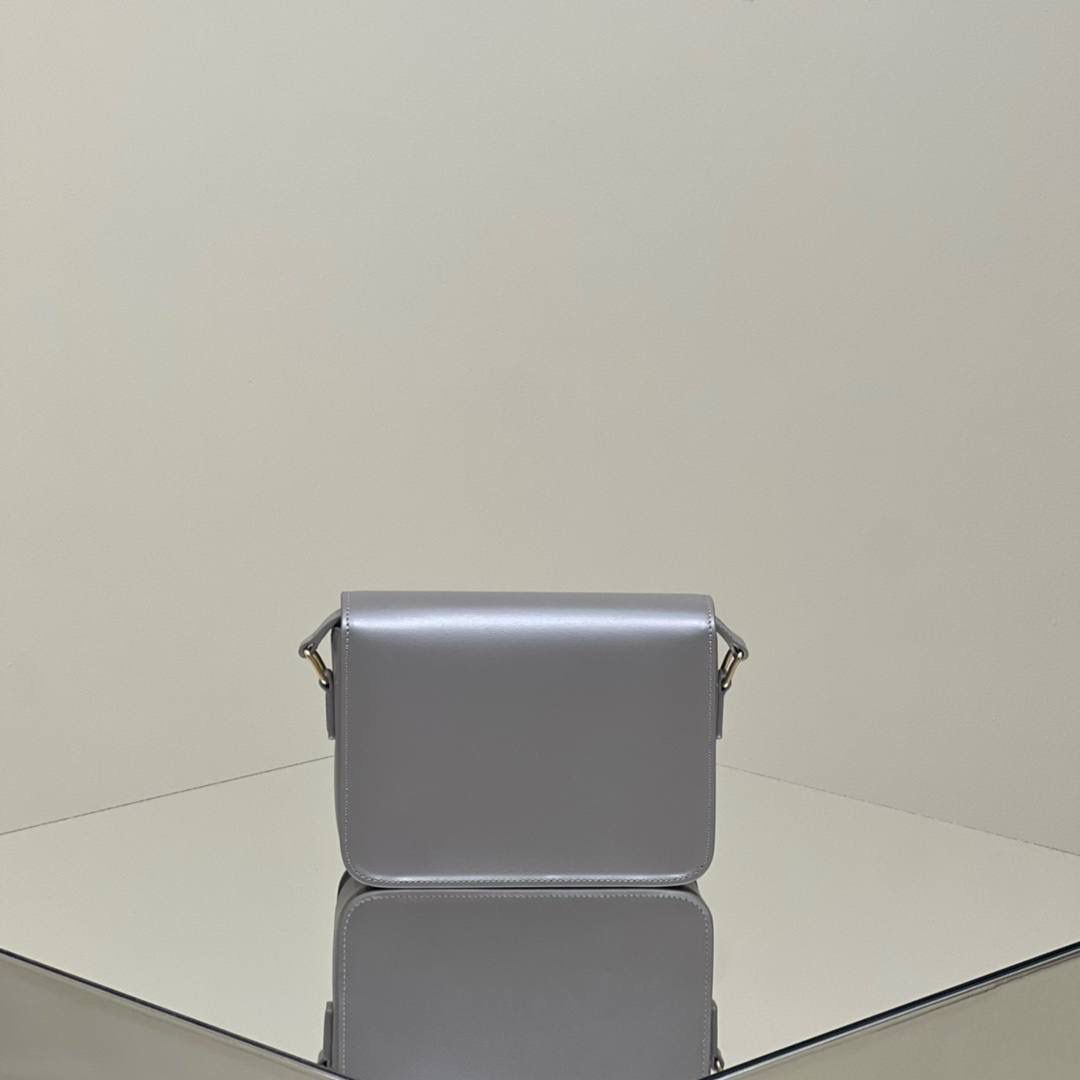 🔥大货实拍图 𝗖𝗘𝗟𝗜𝗡𝗘 ♥ 𝗧𝗘𝗘𝗡 𝗧𝗥𝗜𝗢𝗠𝗣𝗛𝗘 型号：188423 中号尺寸：22.5*16*7cm 小号尺寸：18.5*14*6cm