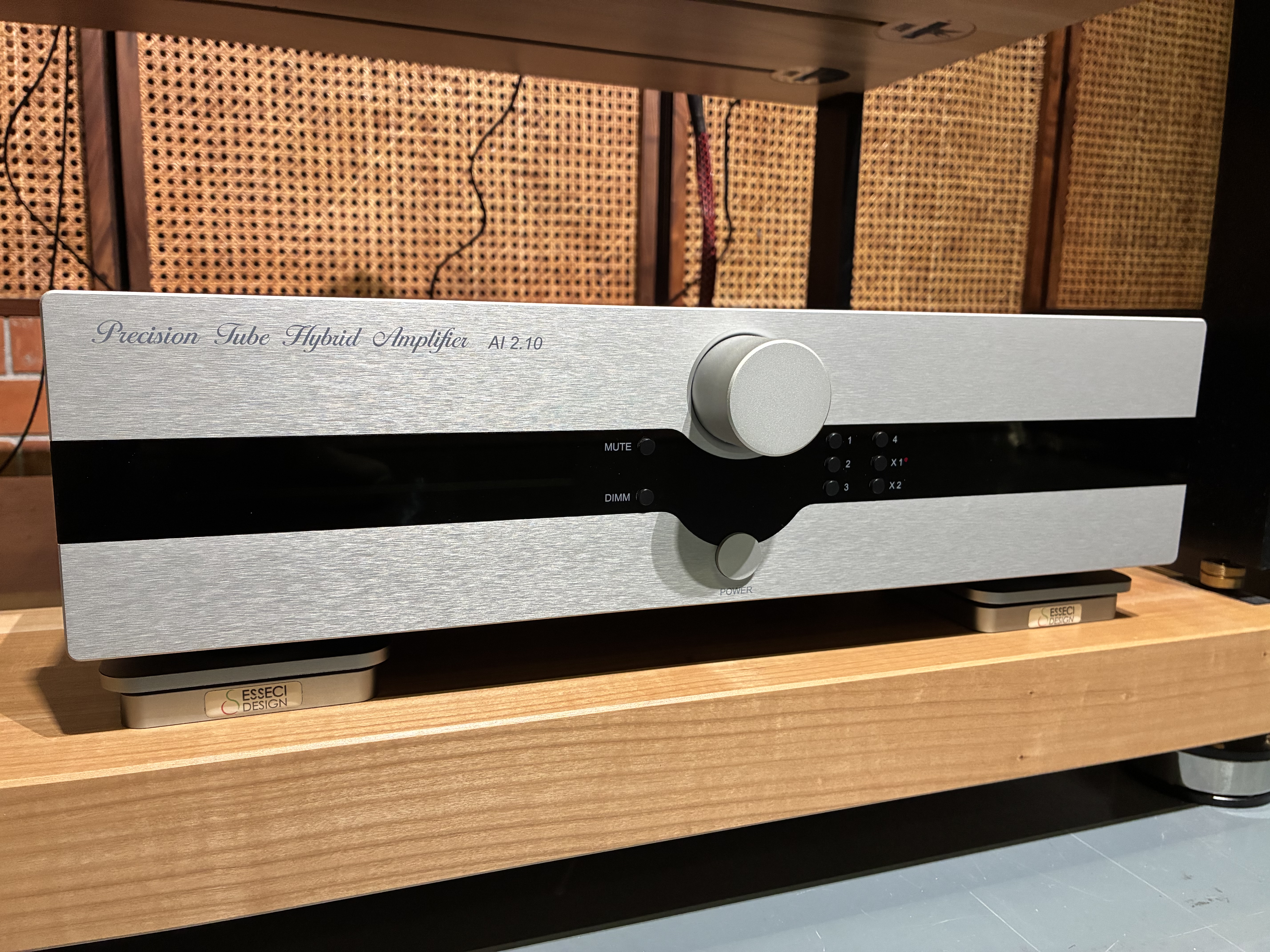 Canor AI 2.10 Hybrid Integrated Amp(使用品）