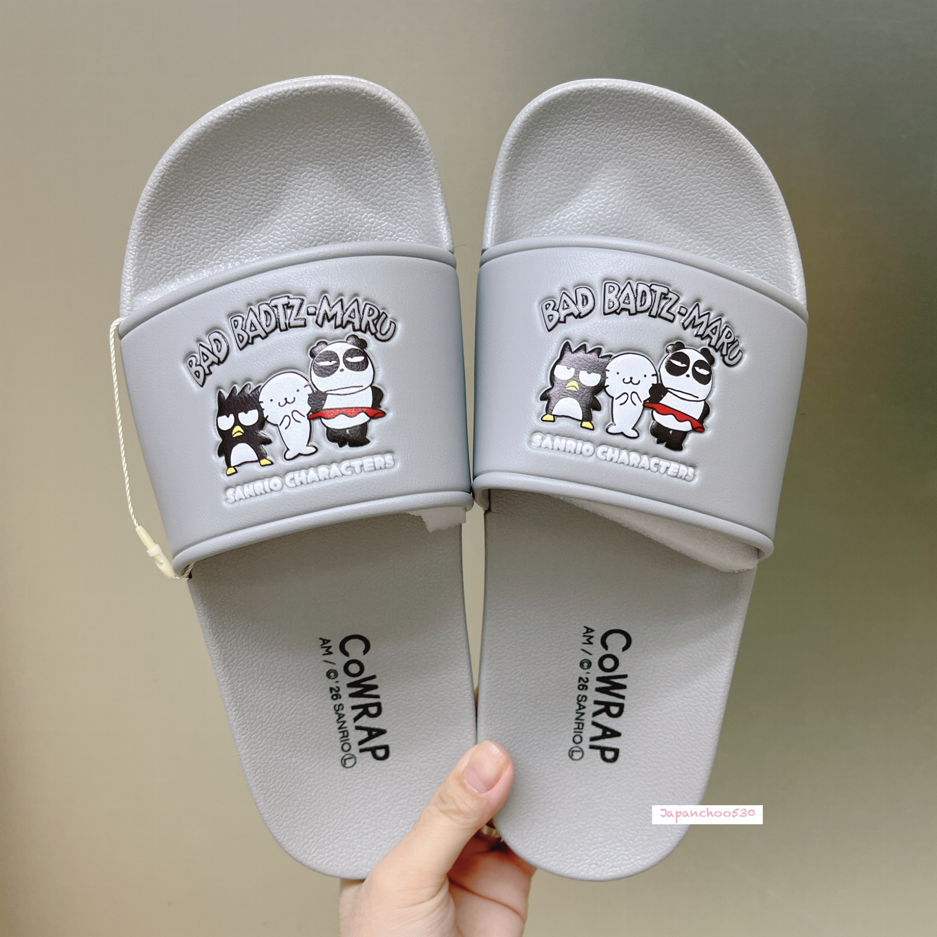 日本預訂📍日本Sanrio可愛圖案夏日拖鞋 1/4日本開售