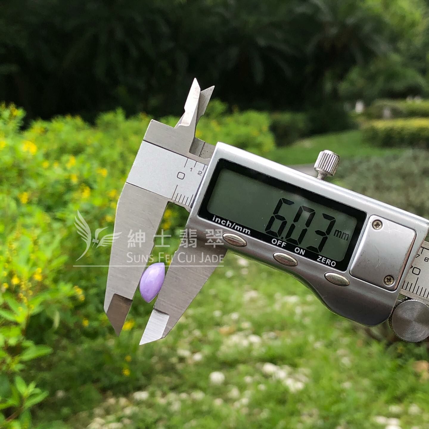 濃色正紫蛋面 - 13