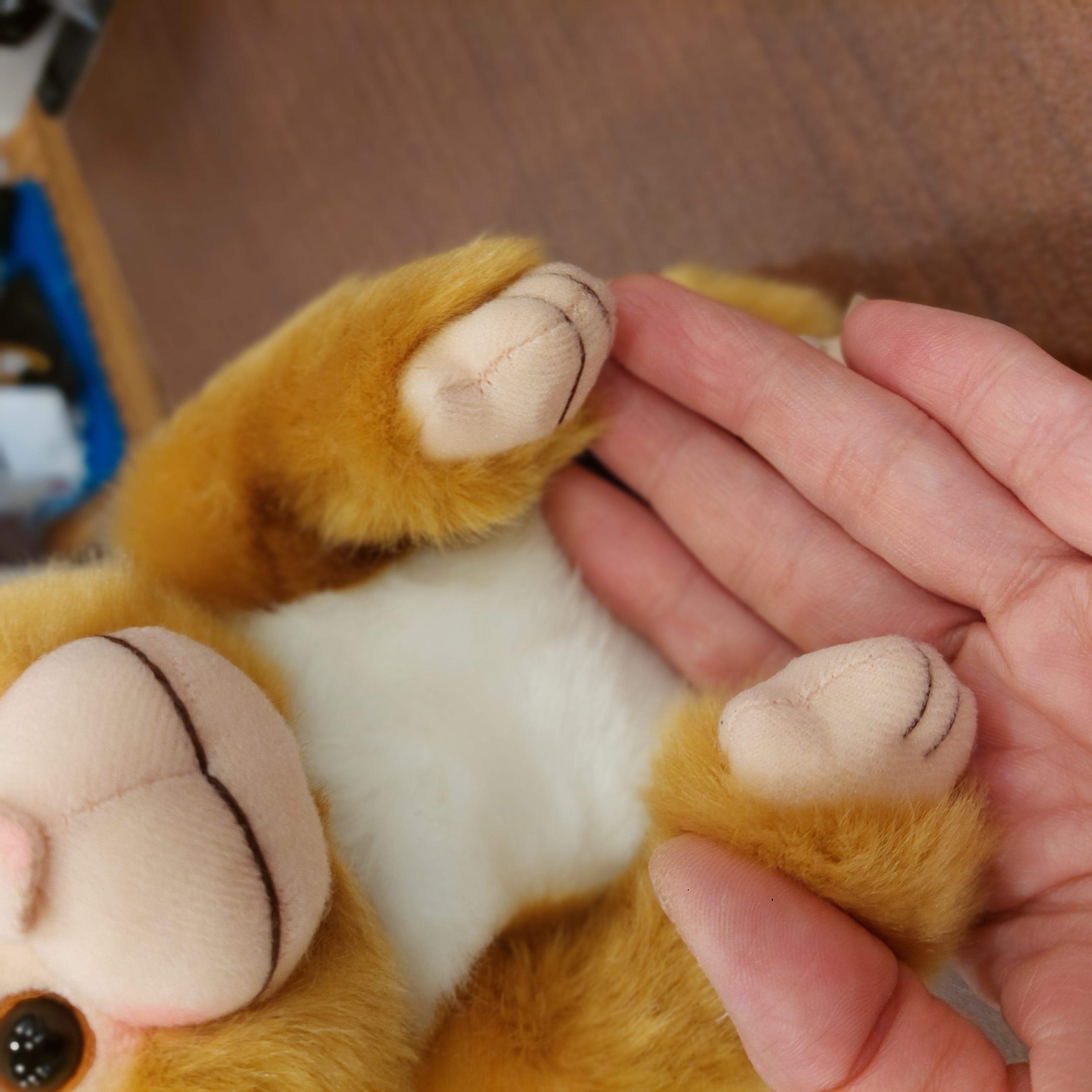 市川動物園限定 人气馬騮仔"パンチくん  Panchi君 M號小公仔  全高約21cm