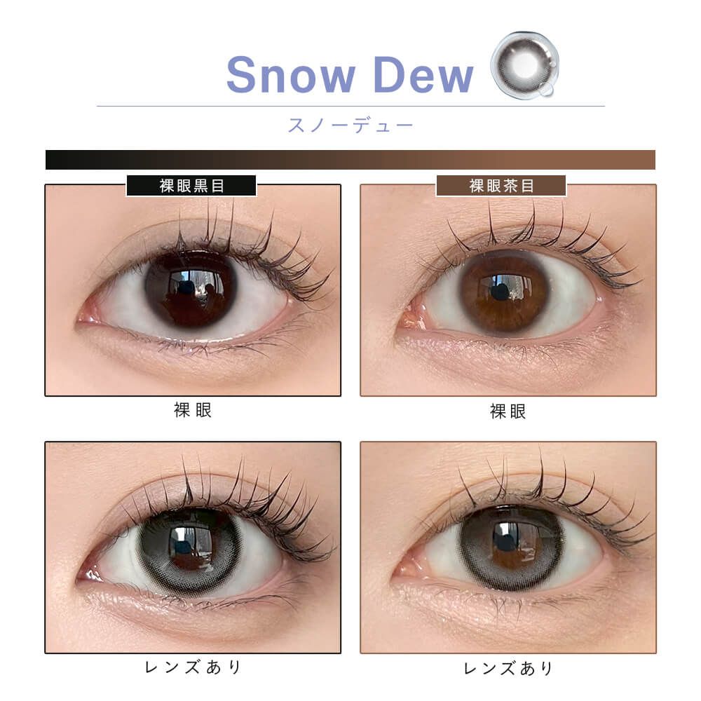 Dewlit - Snow Dew (1day/10P)