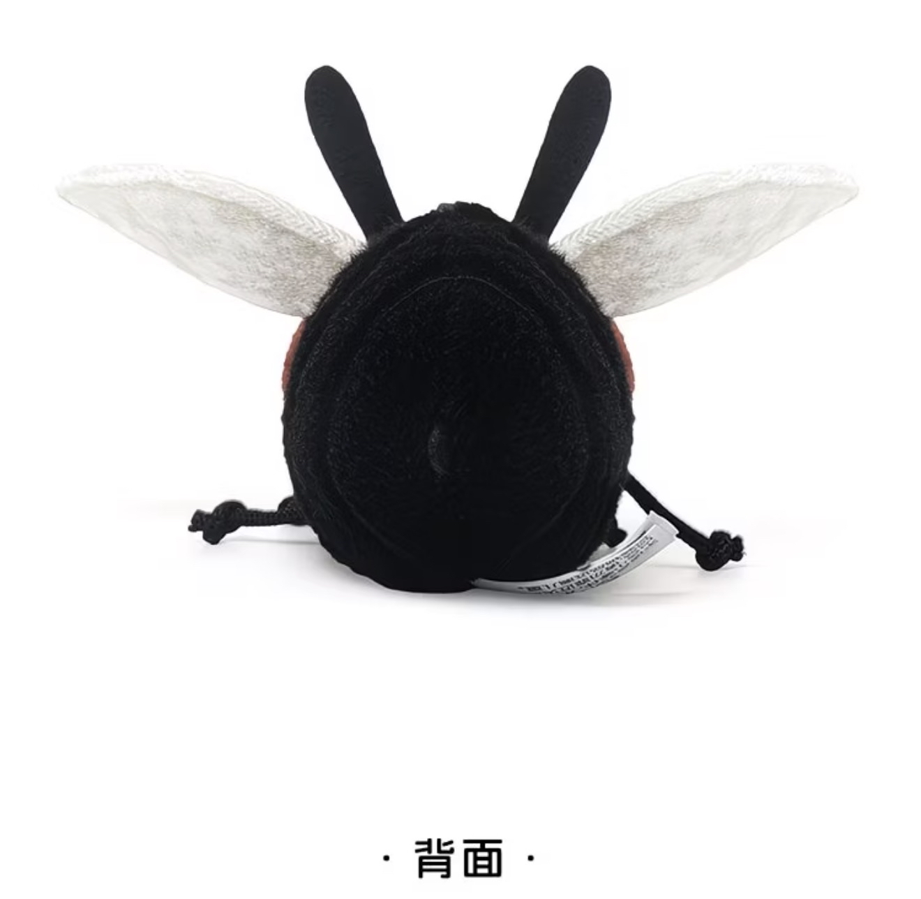 Red Bean Fly 
