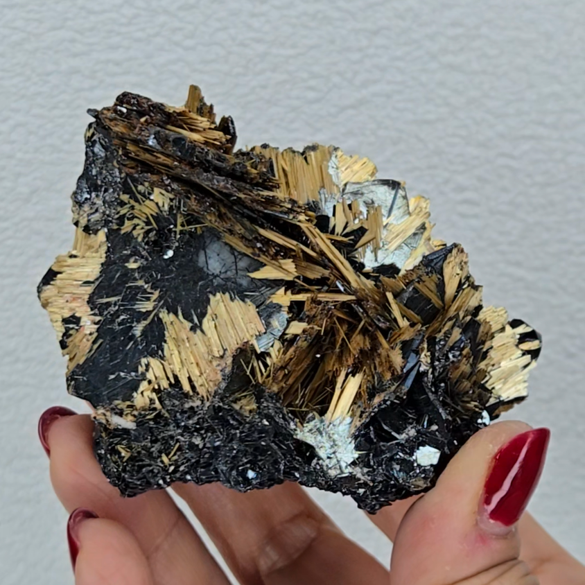 Golden exposed starburst rutiles on black hematite - RT288
