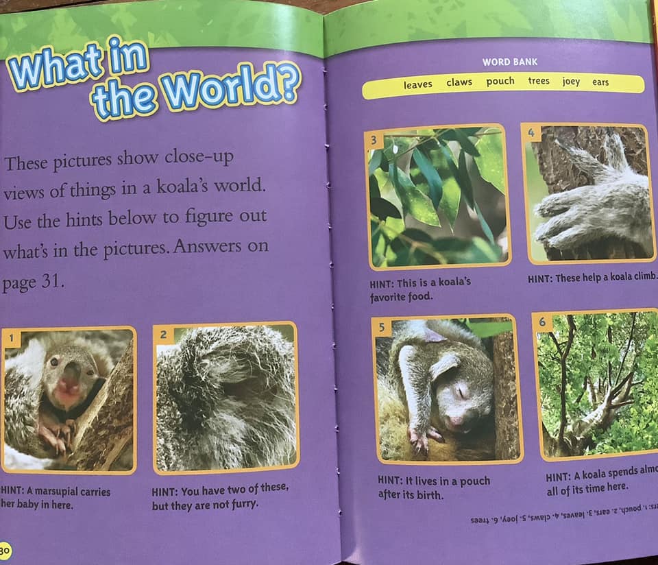 National Geographic Kids Level 1 國家地理分級讀物 第一季 L1 兒童百科書｜25 books｜點讀版