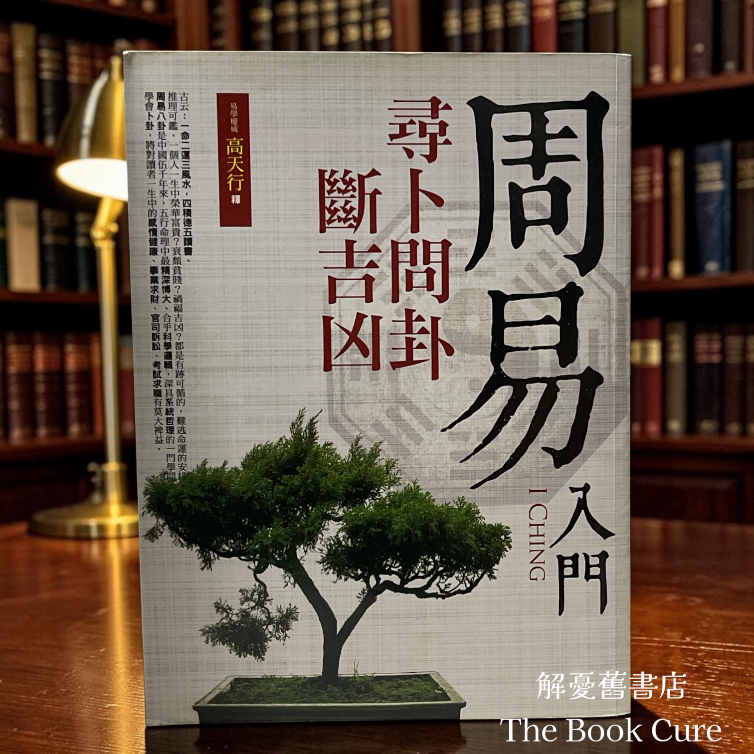 周易入門：尋卜問卦斷吉凶 / 高天行 著