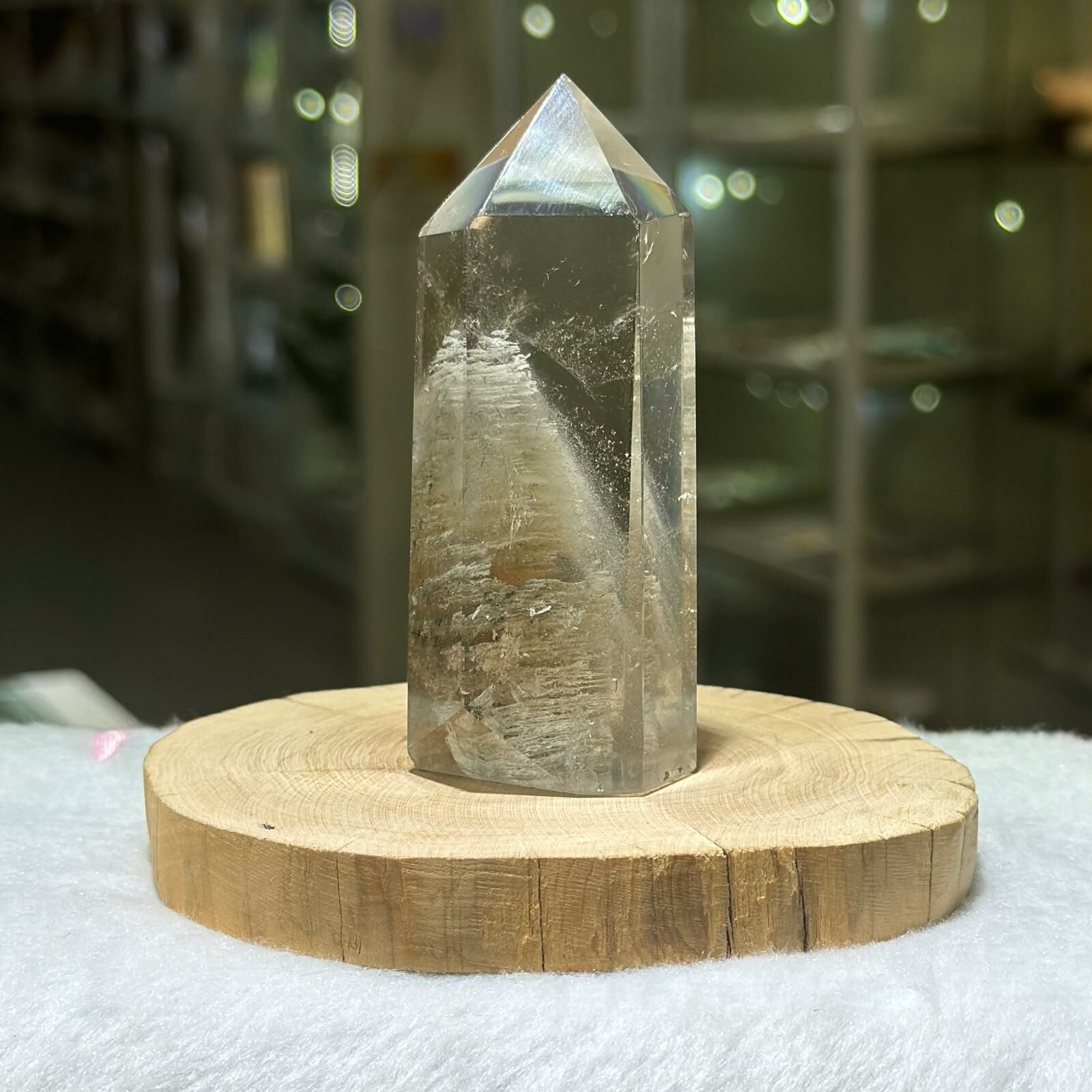 千層白幽靈柱 - 2