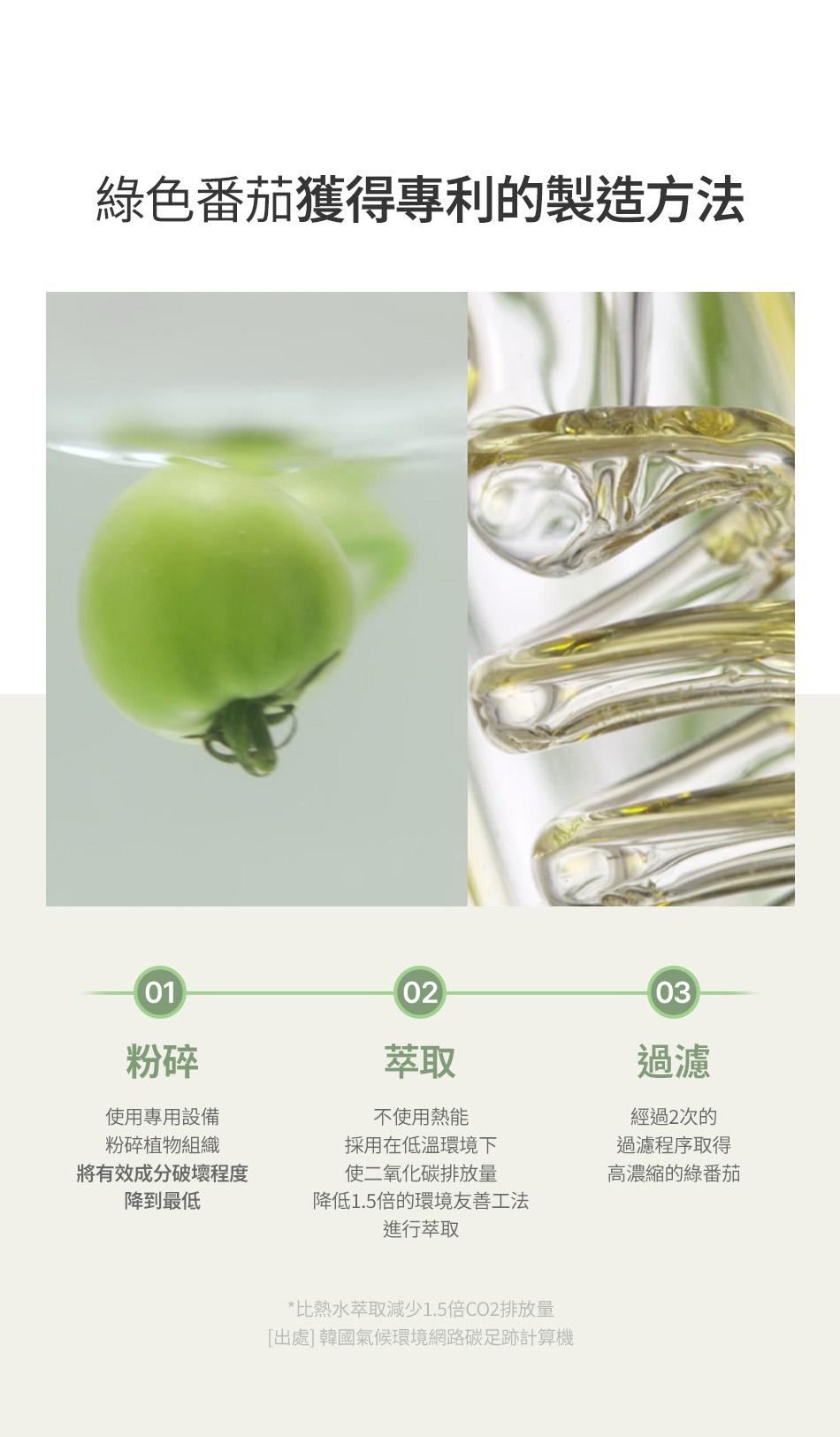 FULLY 綠番茄潔面泥膜 GREEN TOMATO CLEANSER 120ML [預計9月中出貨]