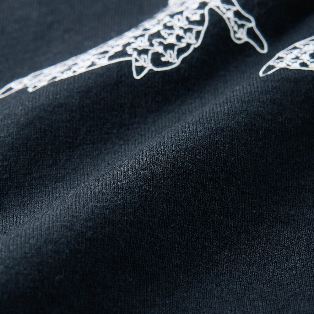 【⭐訂購⭐】 🇯🇵日本直送 🌀#Schleich 恐龍長袖 tee［5款選］ 🌀  [PLCA-0037] [260329]