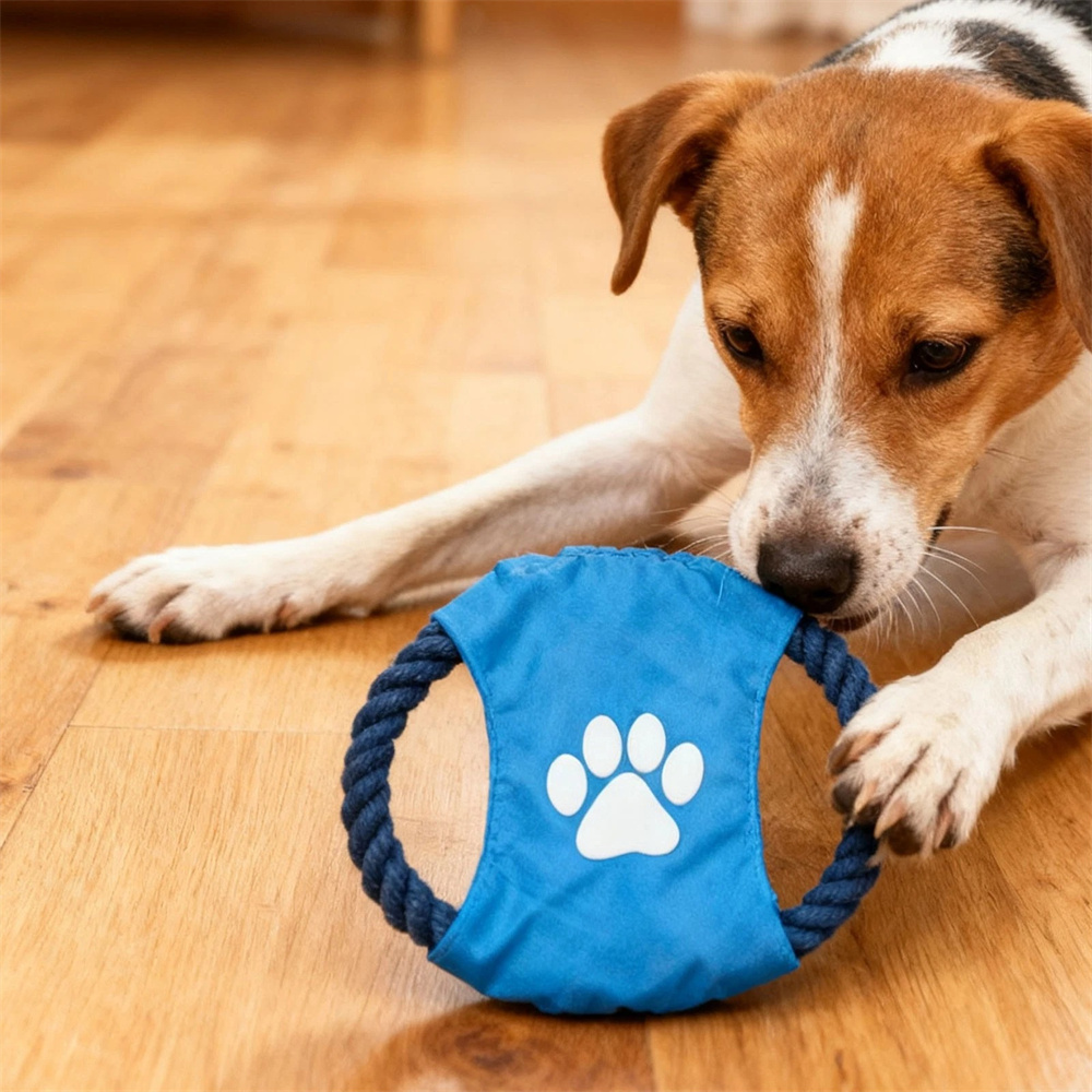 狗狗咬繩磨牙玩具 10件套 顏色款式隨機 UB0257