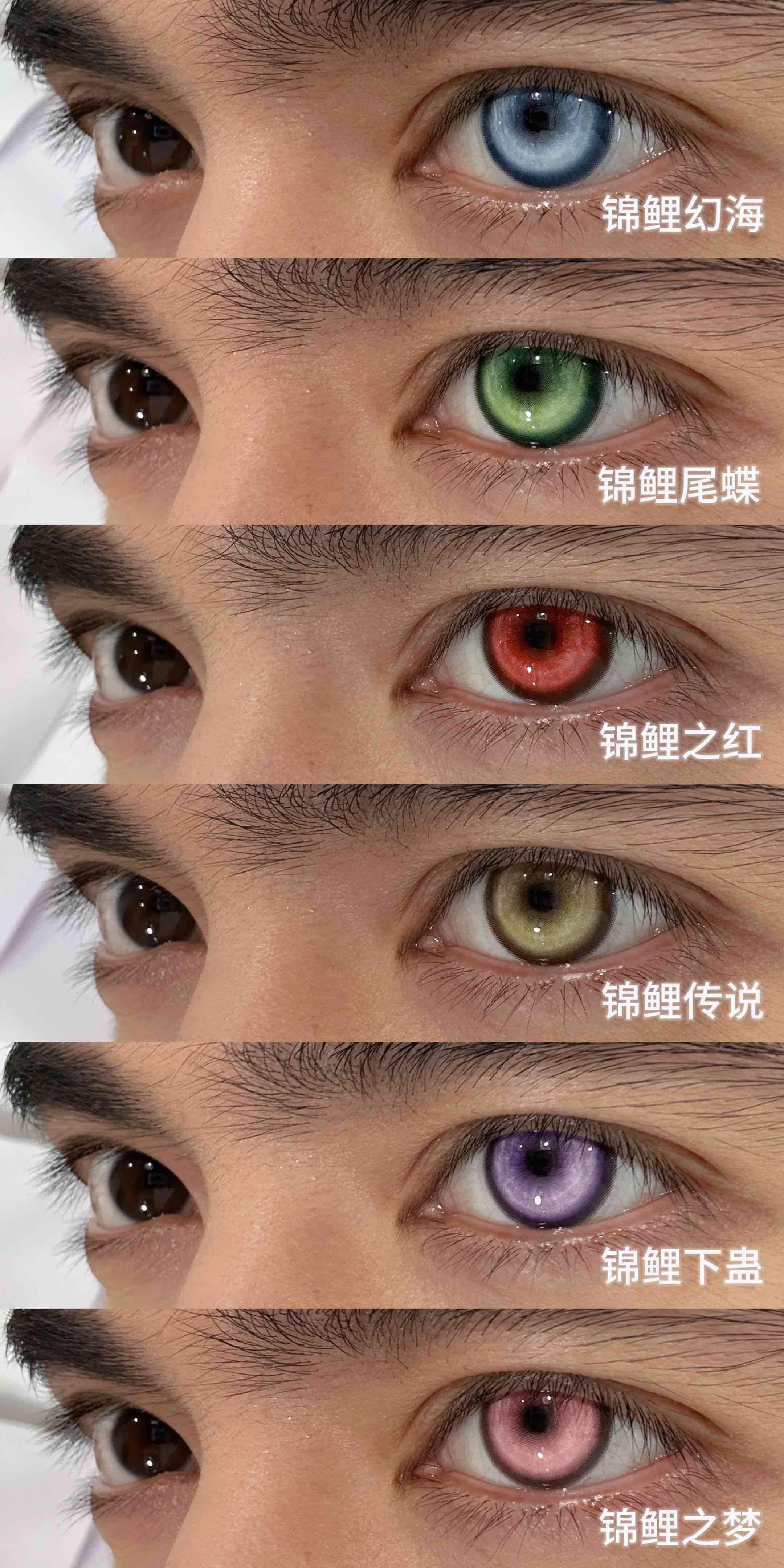 Recolook 日拋2片裝 錦鯉系列