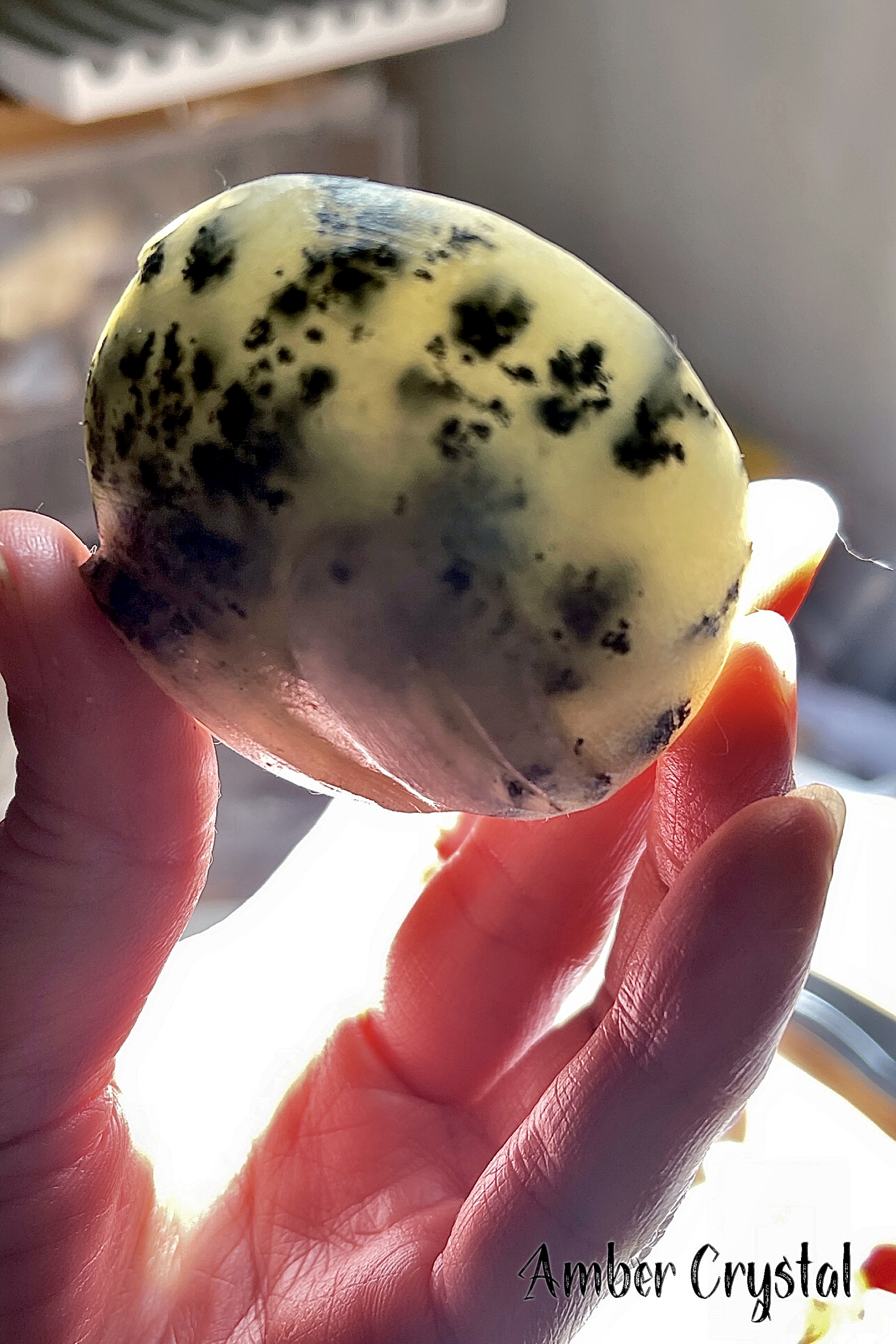 佘太翠白草花