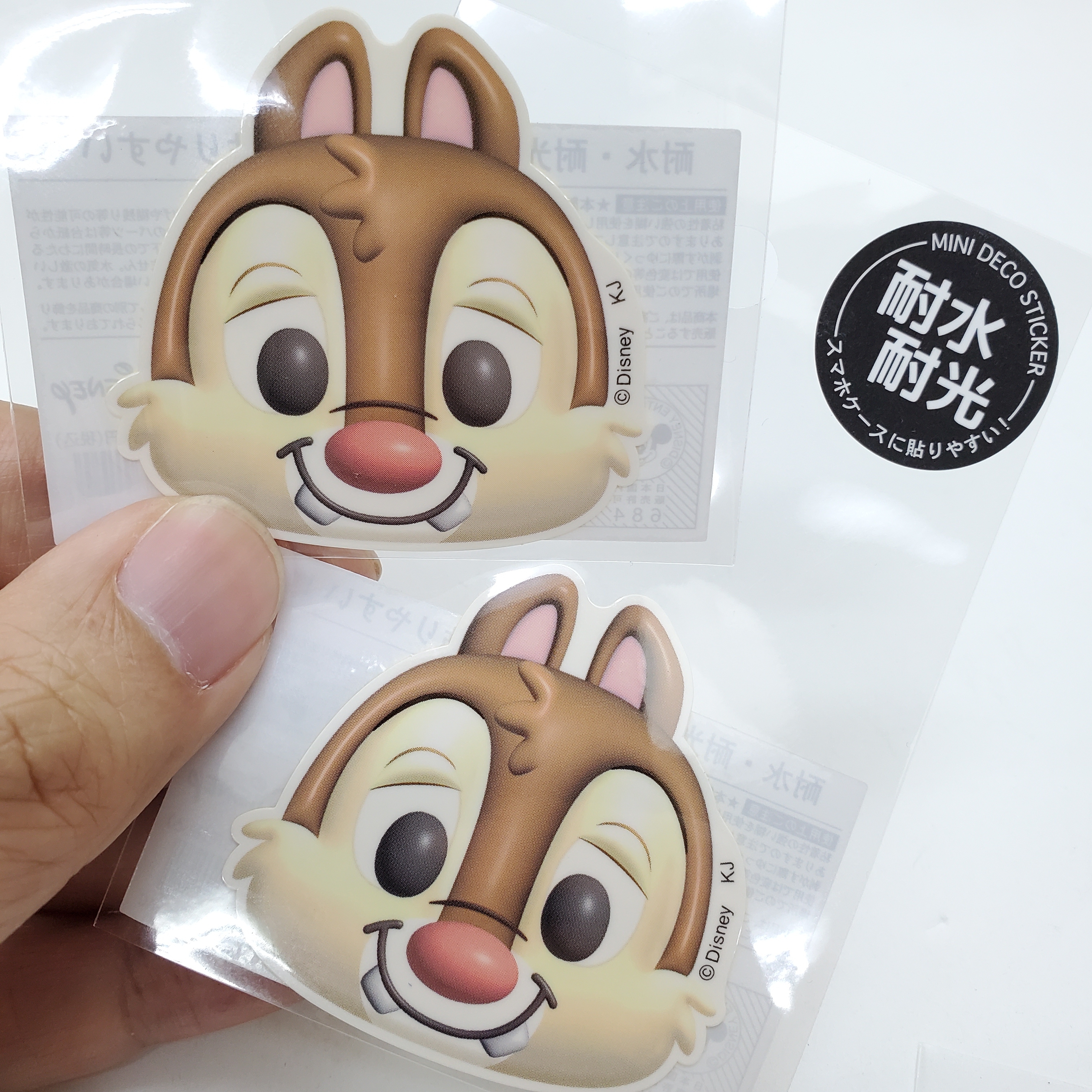 [現貨] [日本製] DALE | 耐水耐光貼紙 {TF2311201}