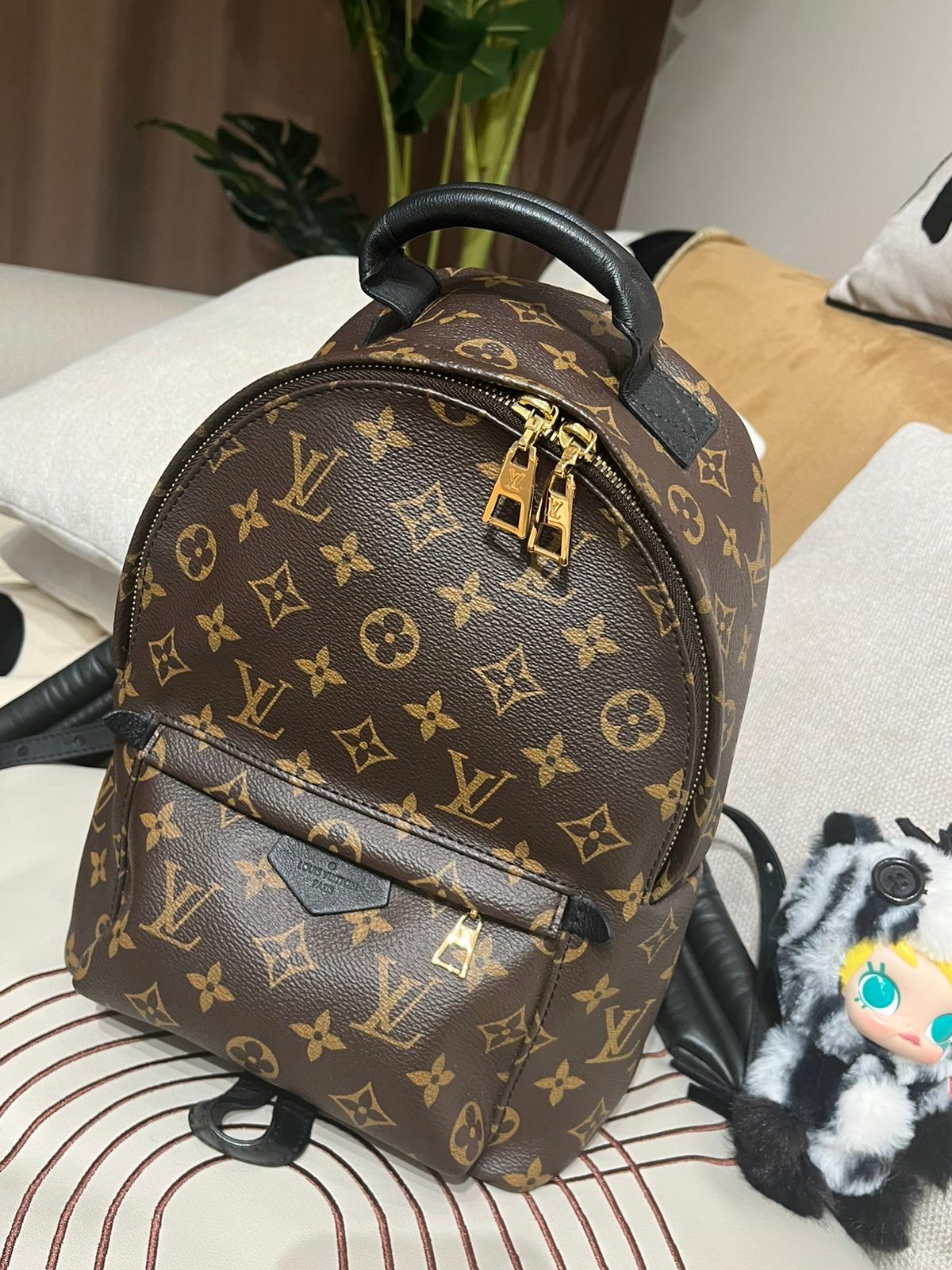 Lv backpack Palm Springs pm 100%Authentic,98%new ✅塵袋✅booklet