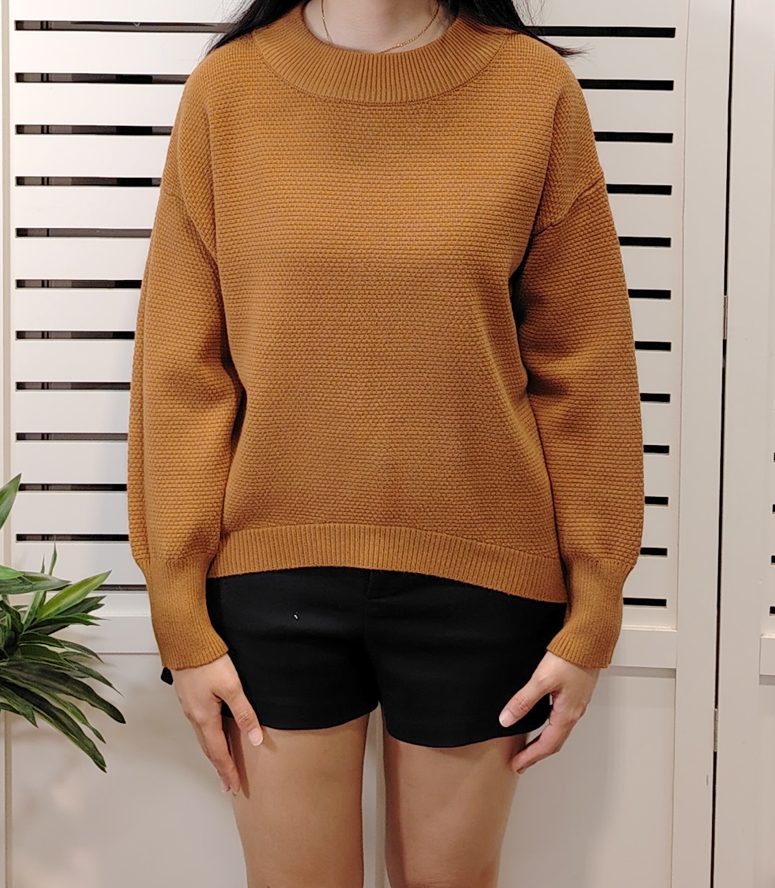 S973 Long Sleeve Sweater