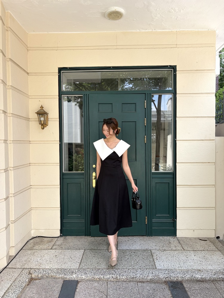 Celine Contrast Collar Dress