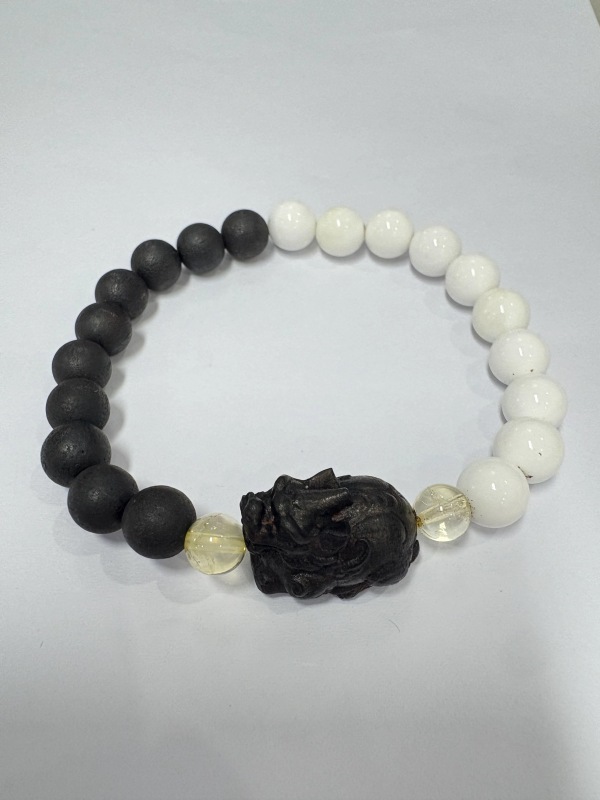 PP1002  EL103  天祿貔貅太極陣手串