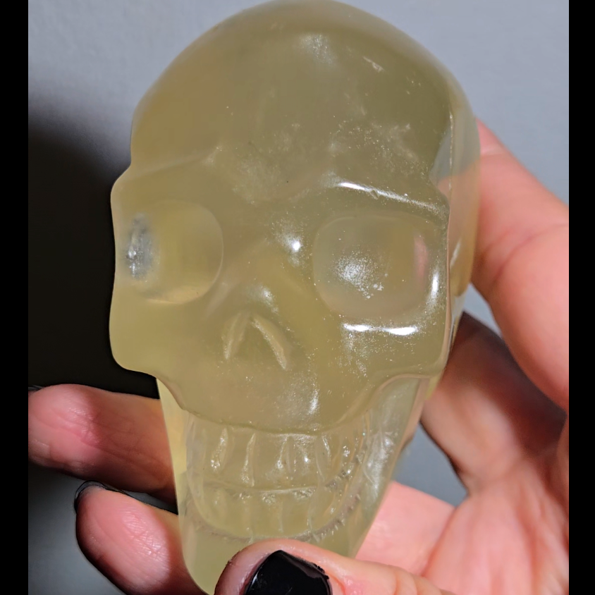 Citrine skull with rainbows and multiple star flash asterism - C59
