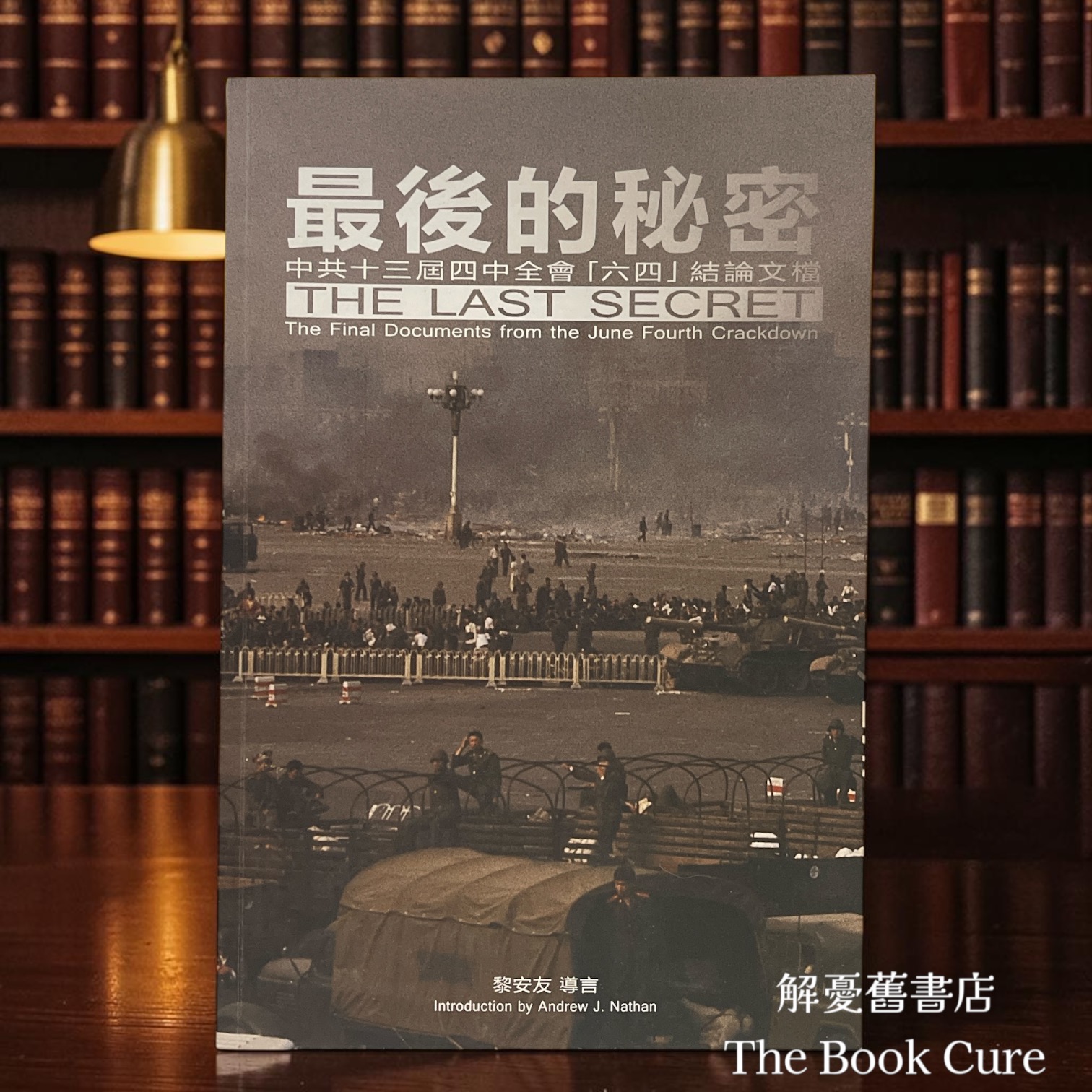 最後的秘密 / 黎安友 導言
