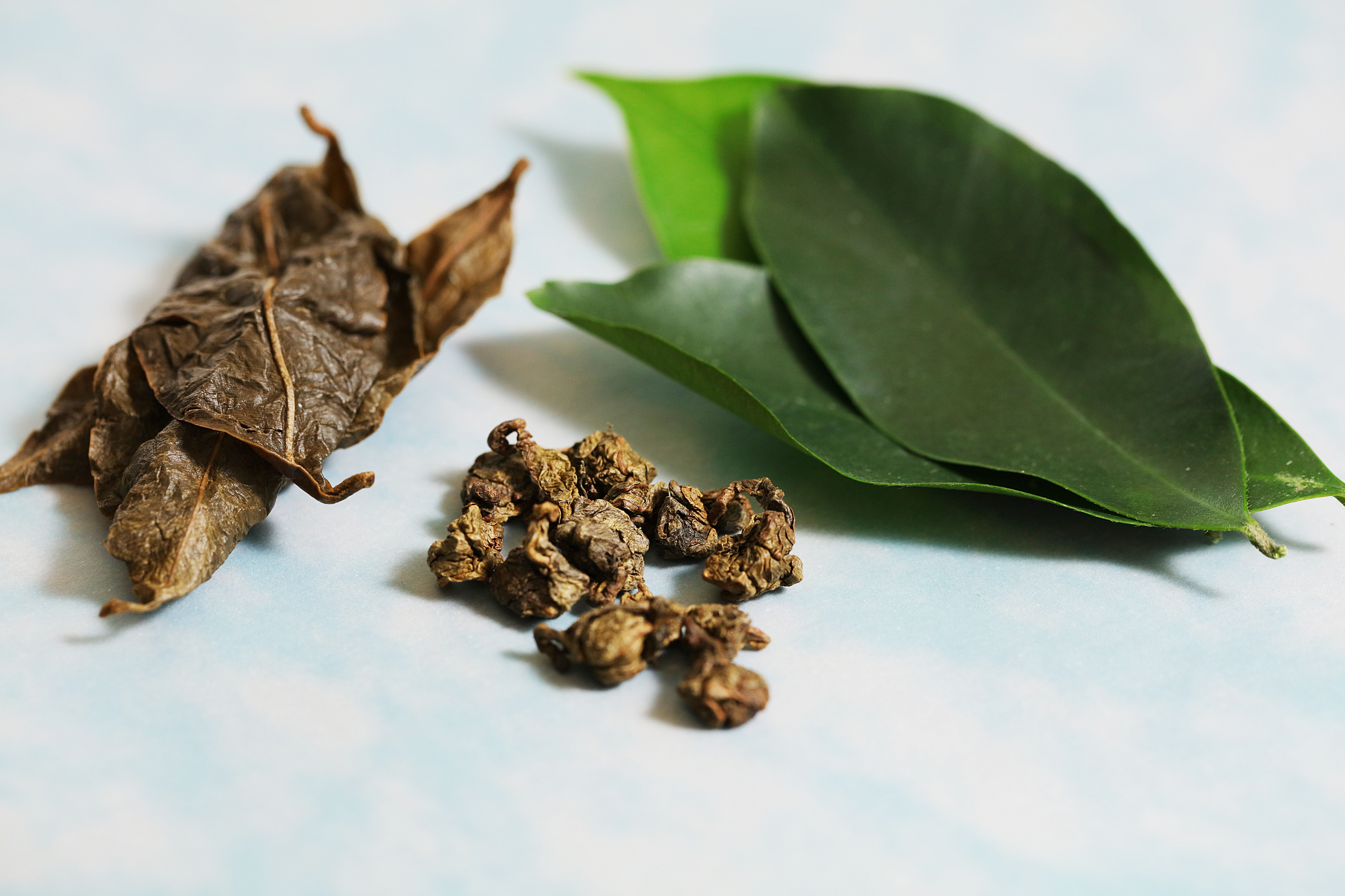 畫室聯承沉香葉茶AR 功能-(限香港地區發售)