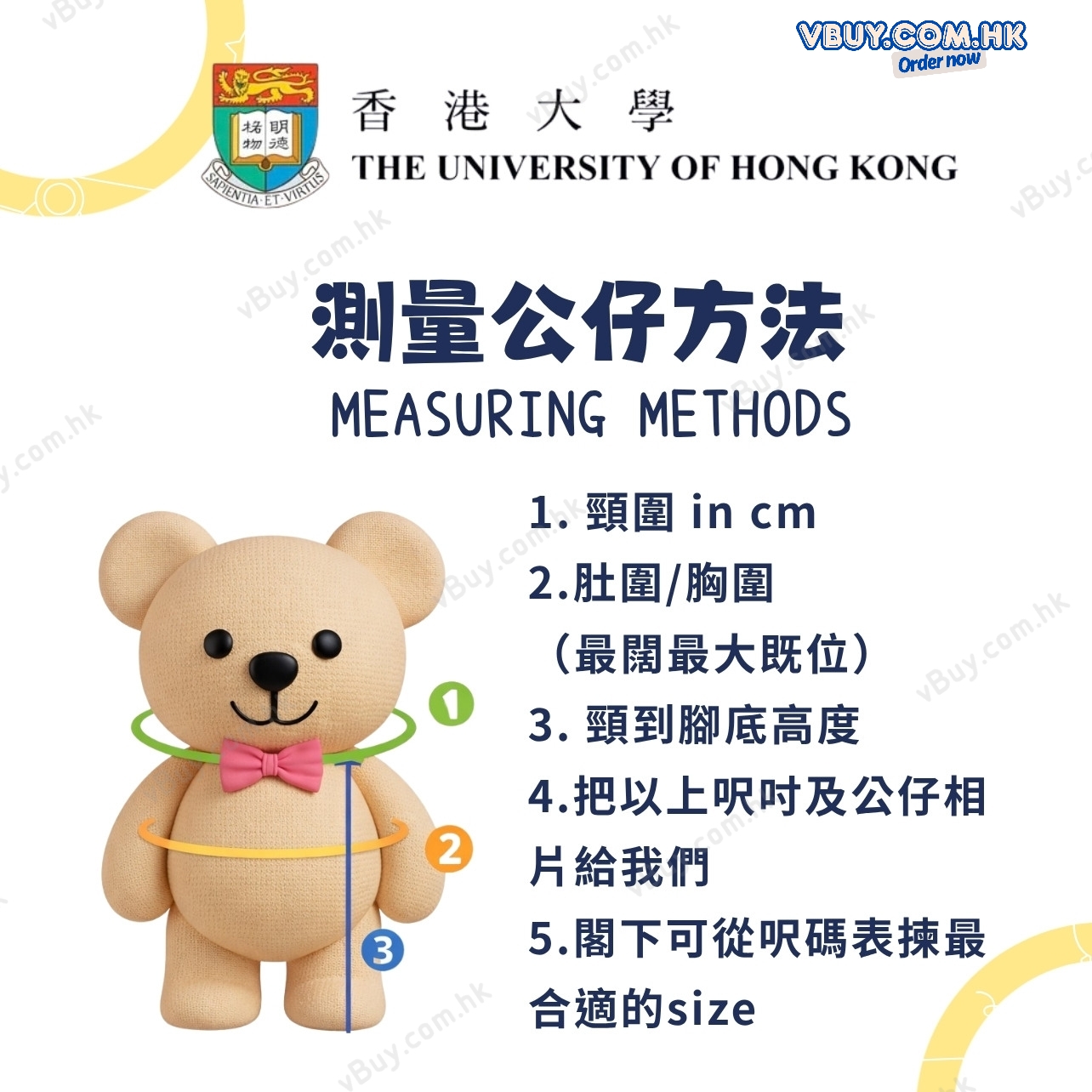 香港大學 HKU 建築學院 Architecture 畢業公仔袍 - 可綉名/校名/年份/校章 (灰色邊藍色布領) 公仔畢業袍