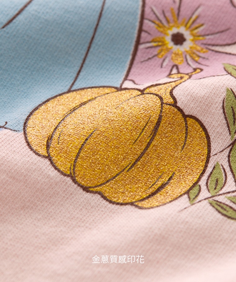 🌸預訂 台灣直送🌸迪士尼公主系列三色網紗印花純棉長袖T恤