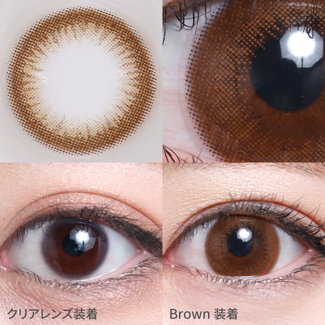 TeAmo - Brown (1day/10P)
