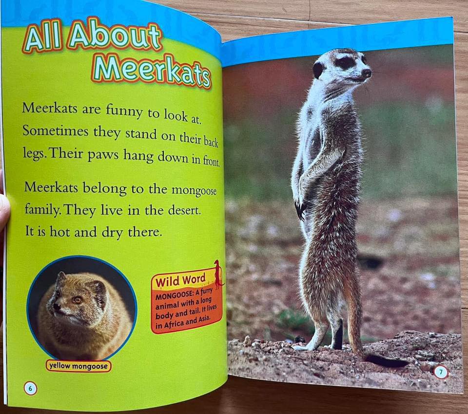 National Geographic Kids Level 1 國家地理分級讀物 第一季 L1 兒童百科書｜25 books｜點讀版