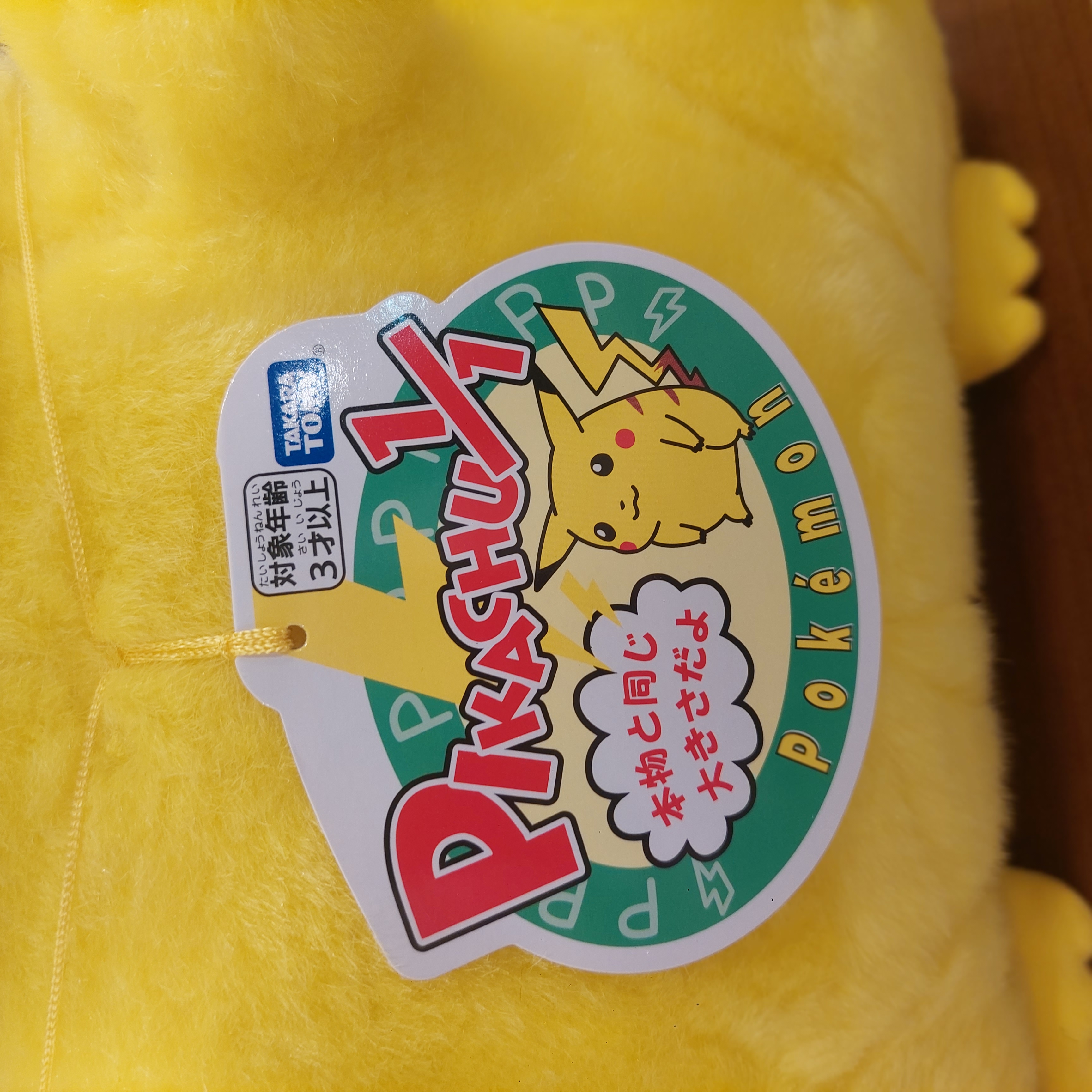原裝日本 Pokemon 30周年 1比1 Pikachu 比卡超 寶可夢 復刻版 公仔