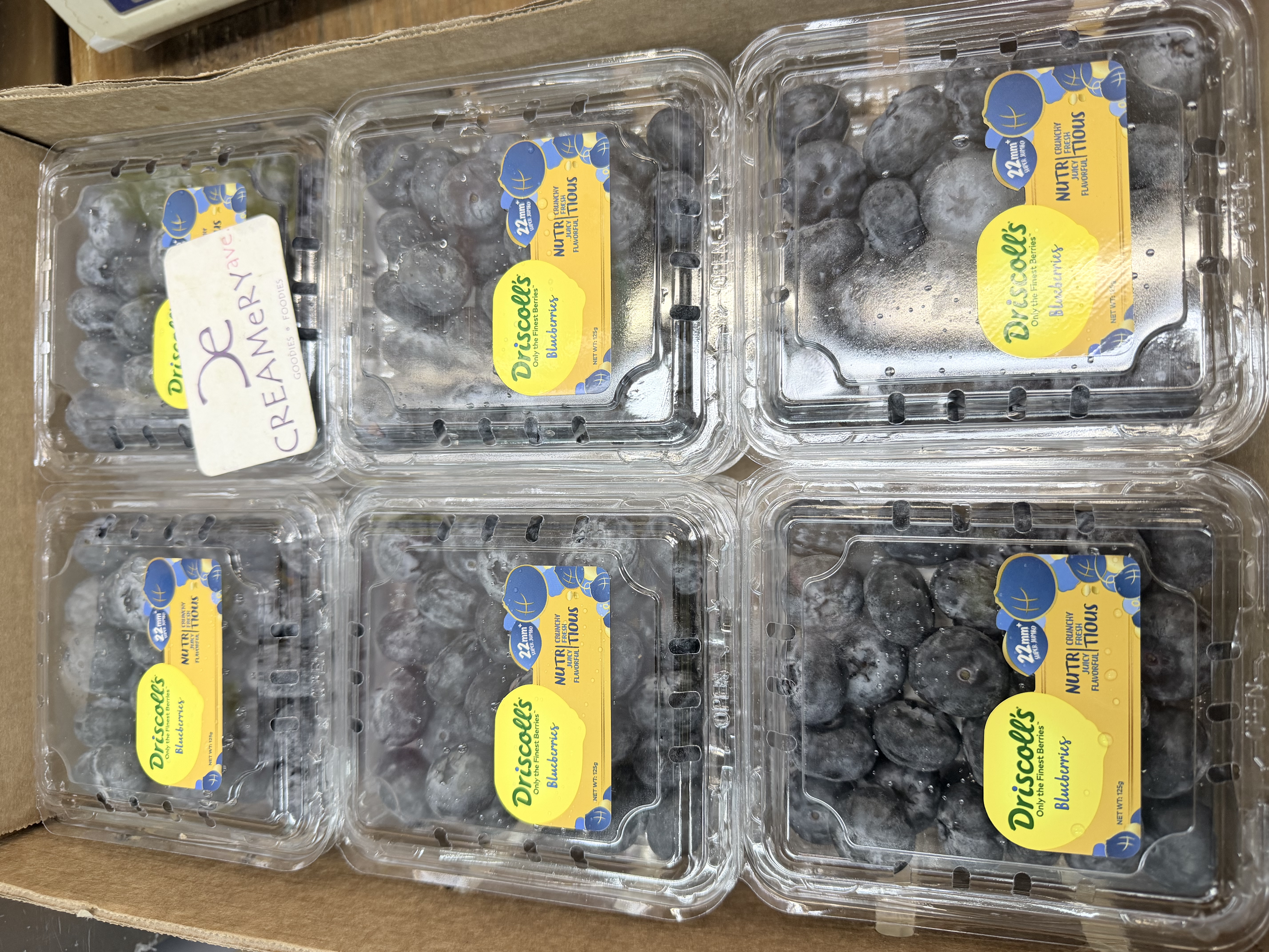 津巴布韋 Driscoll's  珍寶藍莓 Zimbabwe Driscoll's Jumbo Blueberries 盒裝 ±125g/盒