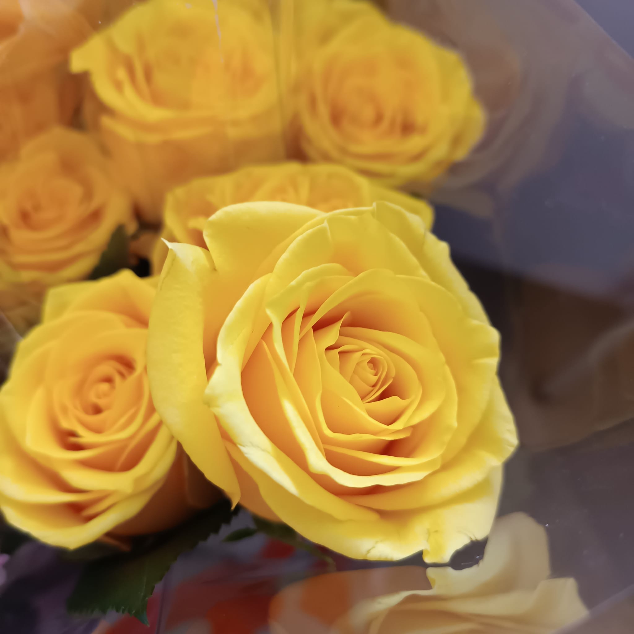 真花 小花束HYU024